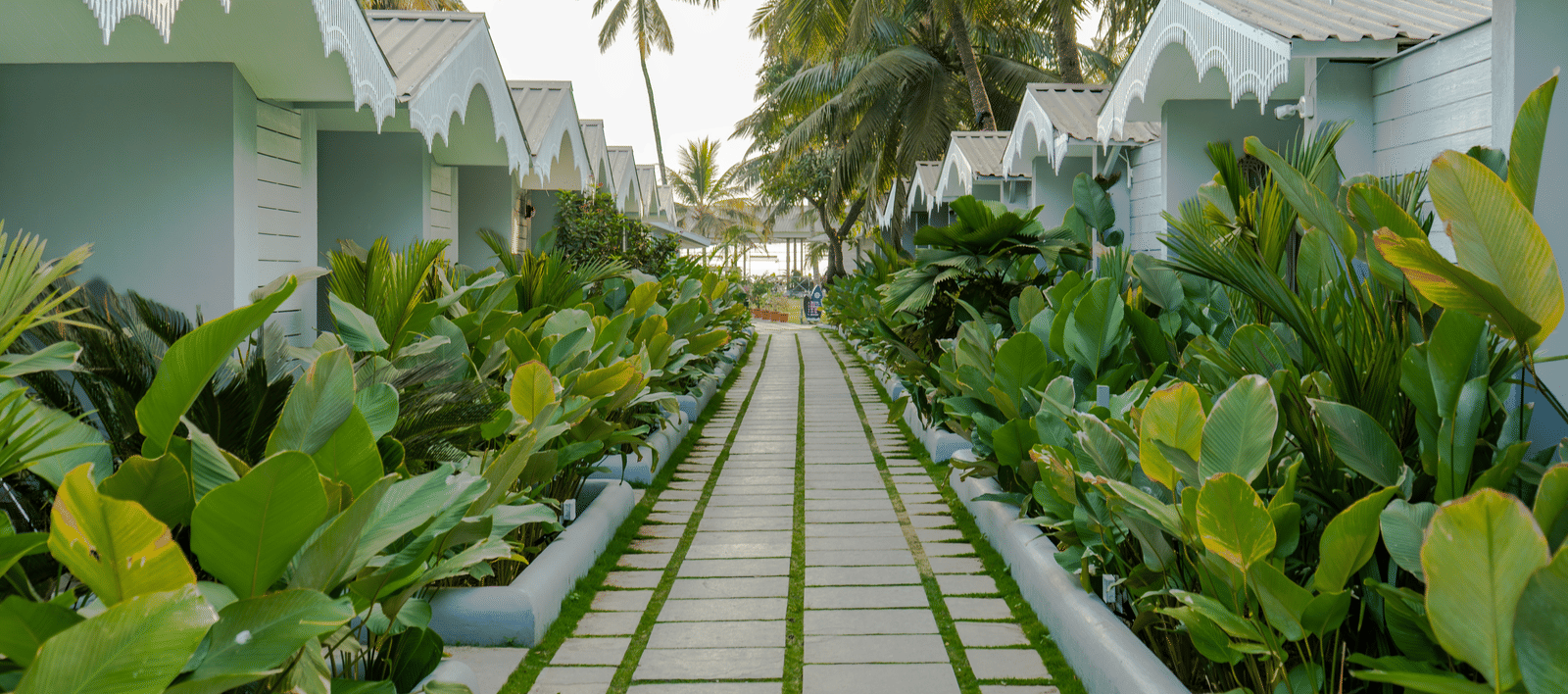 Amazing tropical stay near Palolem beach 13