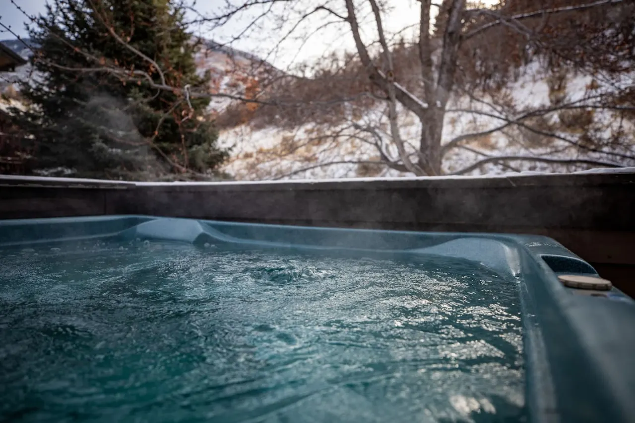 Cottonwood Heights Vacation Rental Near Big & Little Cottonwood Canyons Hot Tub (Pet Friendly) 8
