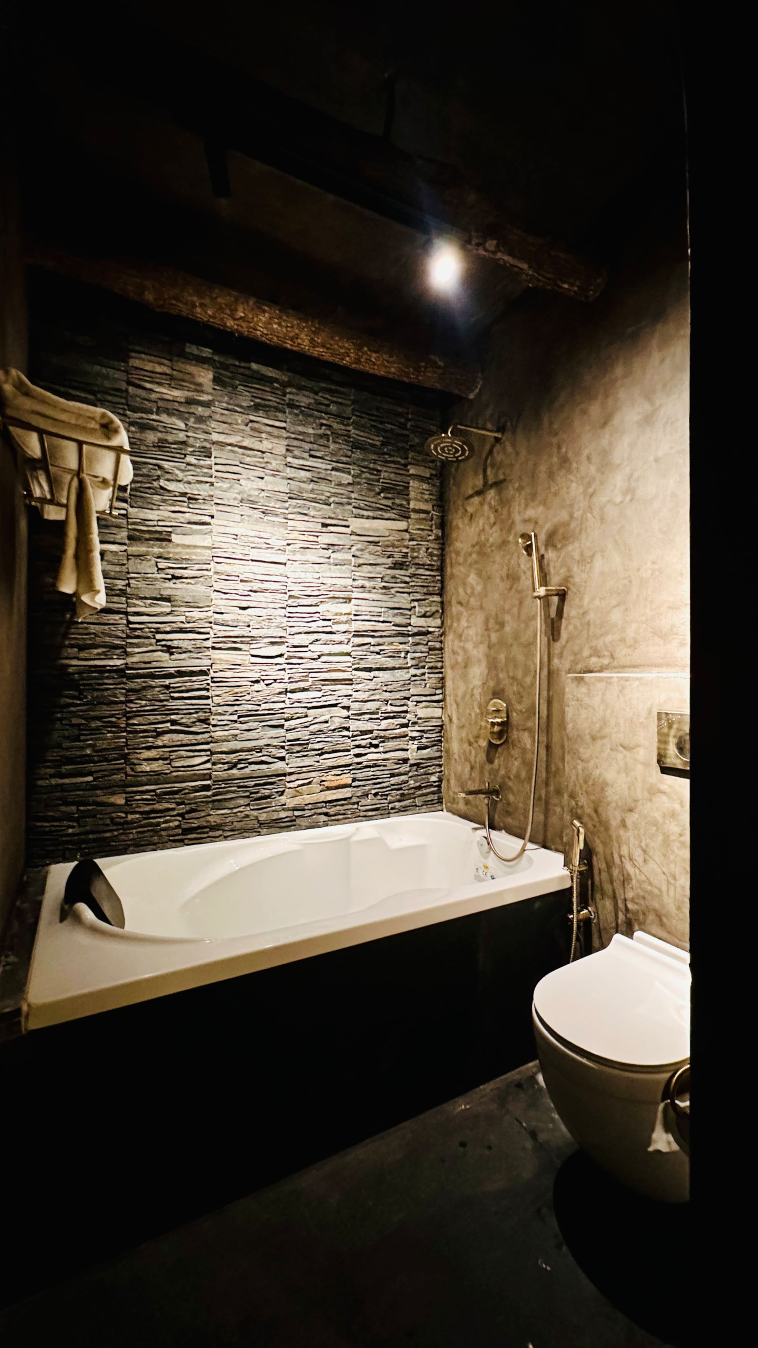 DaCations @ Salud W/ Heated Pool near Kasauli 29