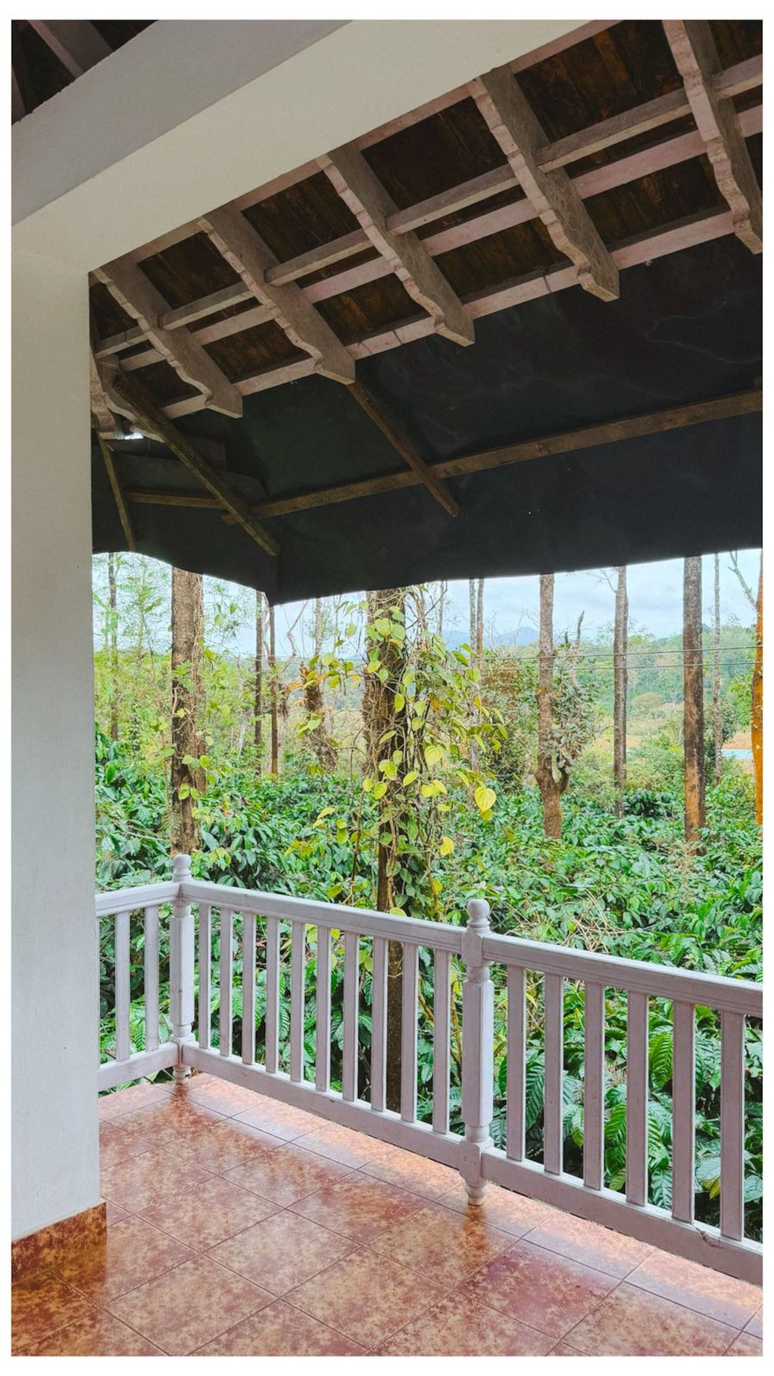Daisy Land - Farm Stay. (Group of 6+ guests). 19