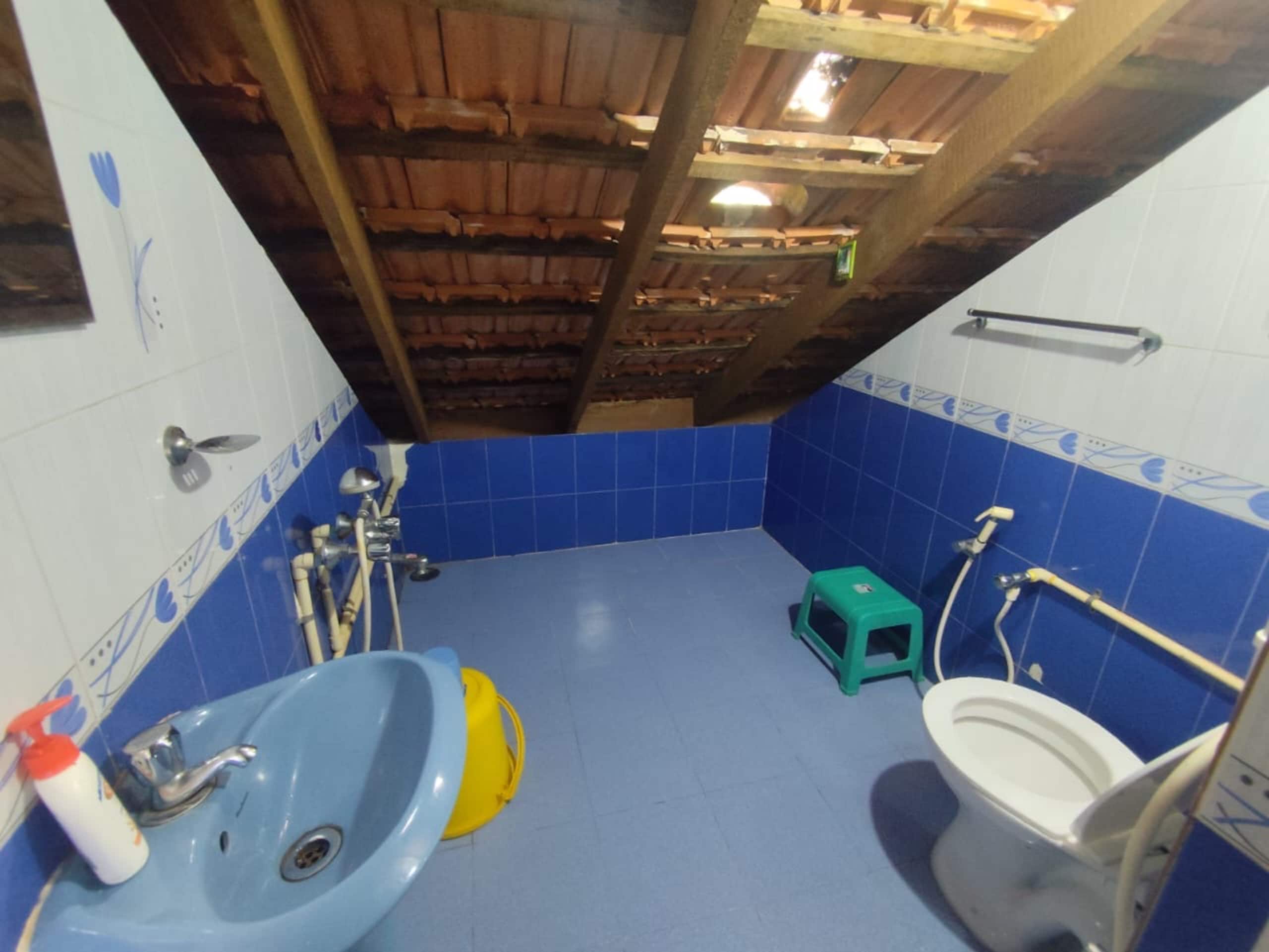 Daisy Land - Farm Stay. (Group of 6+ guests). 13