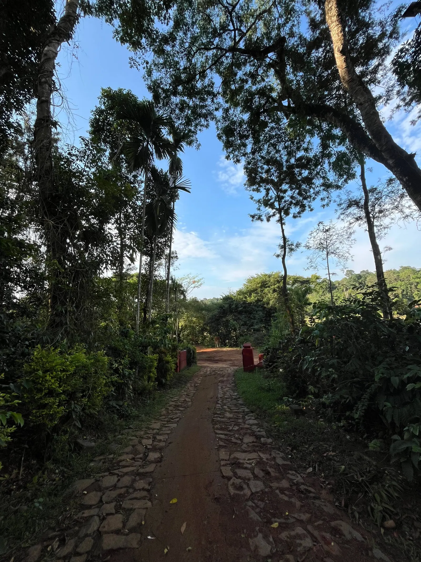 Daisy Land - Farm Stay. (Group of 6+ guests) 34
