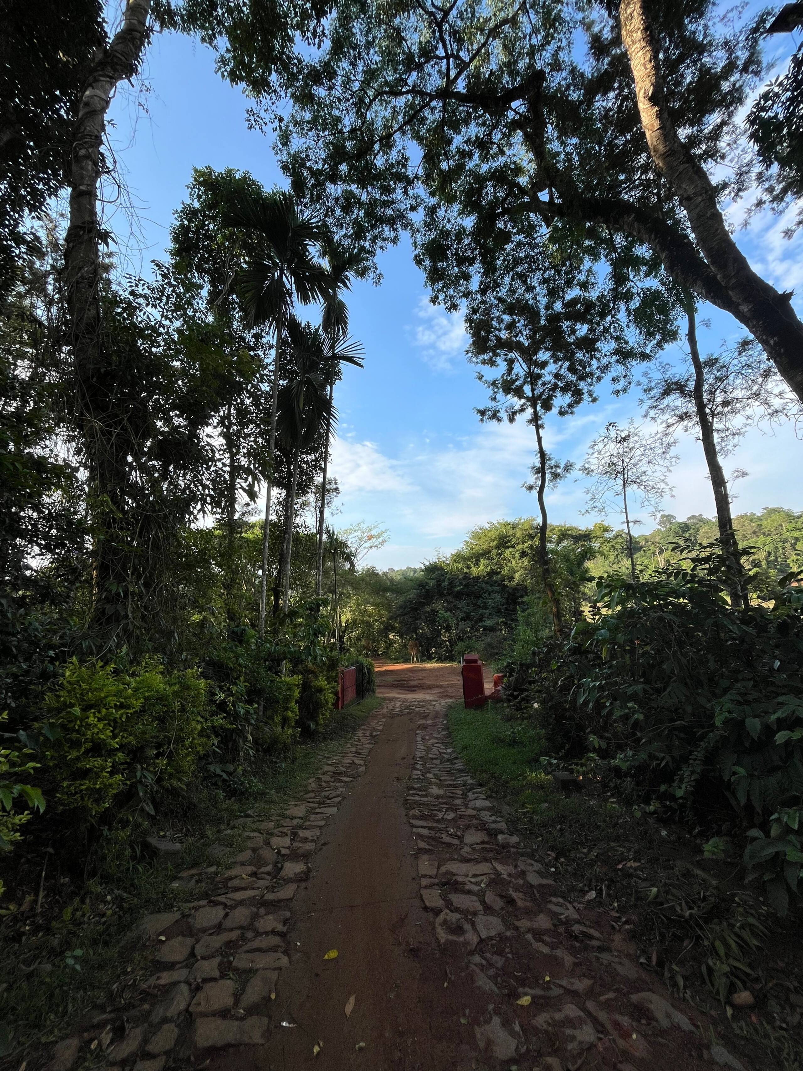 Daisy Land - Farm Stay. (Group of 6+ guests). 34