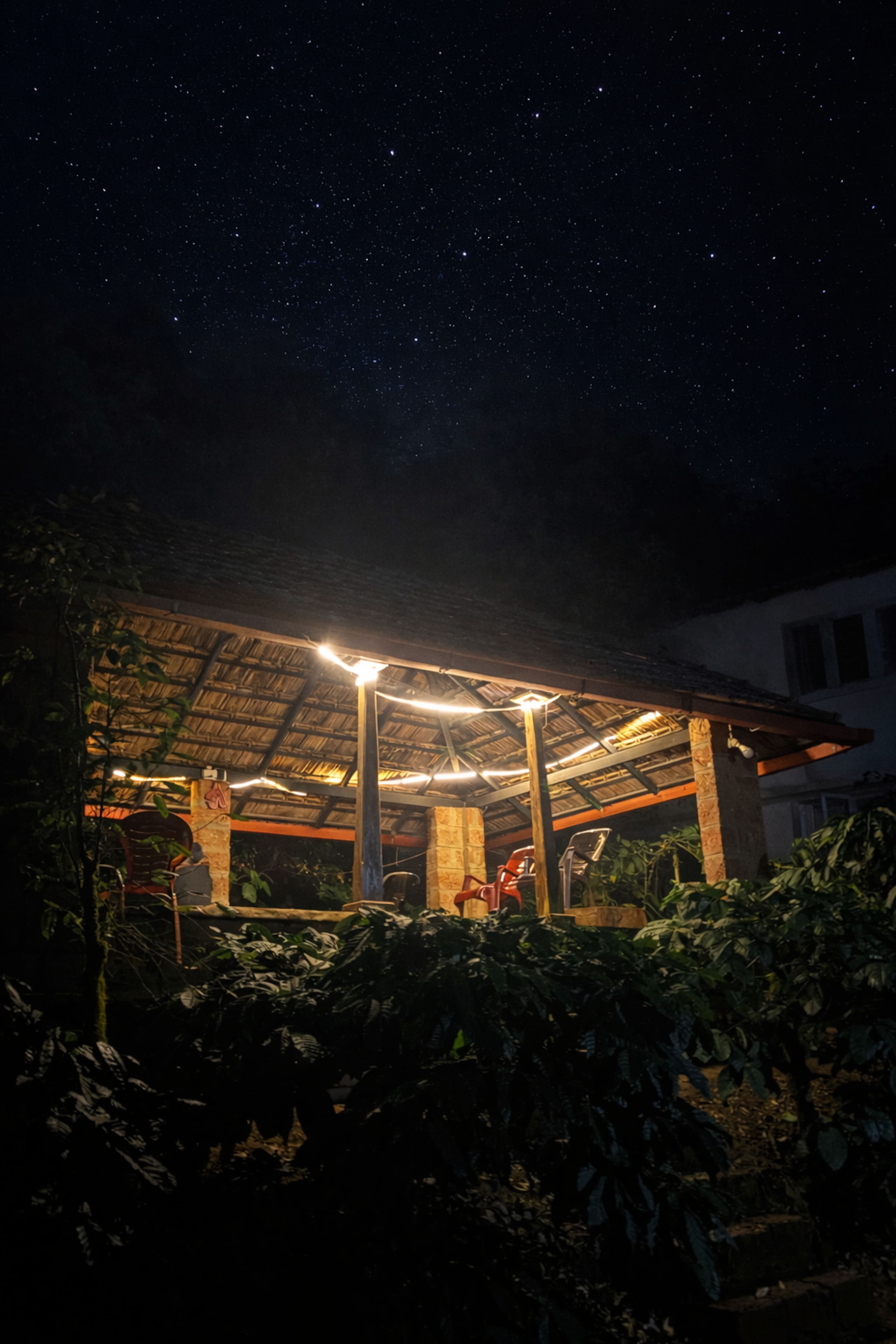 Daisy Land - Farm Stay. (Group of 6+ guests). 25