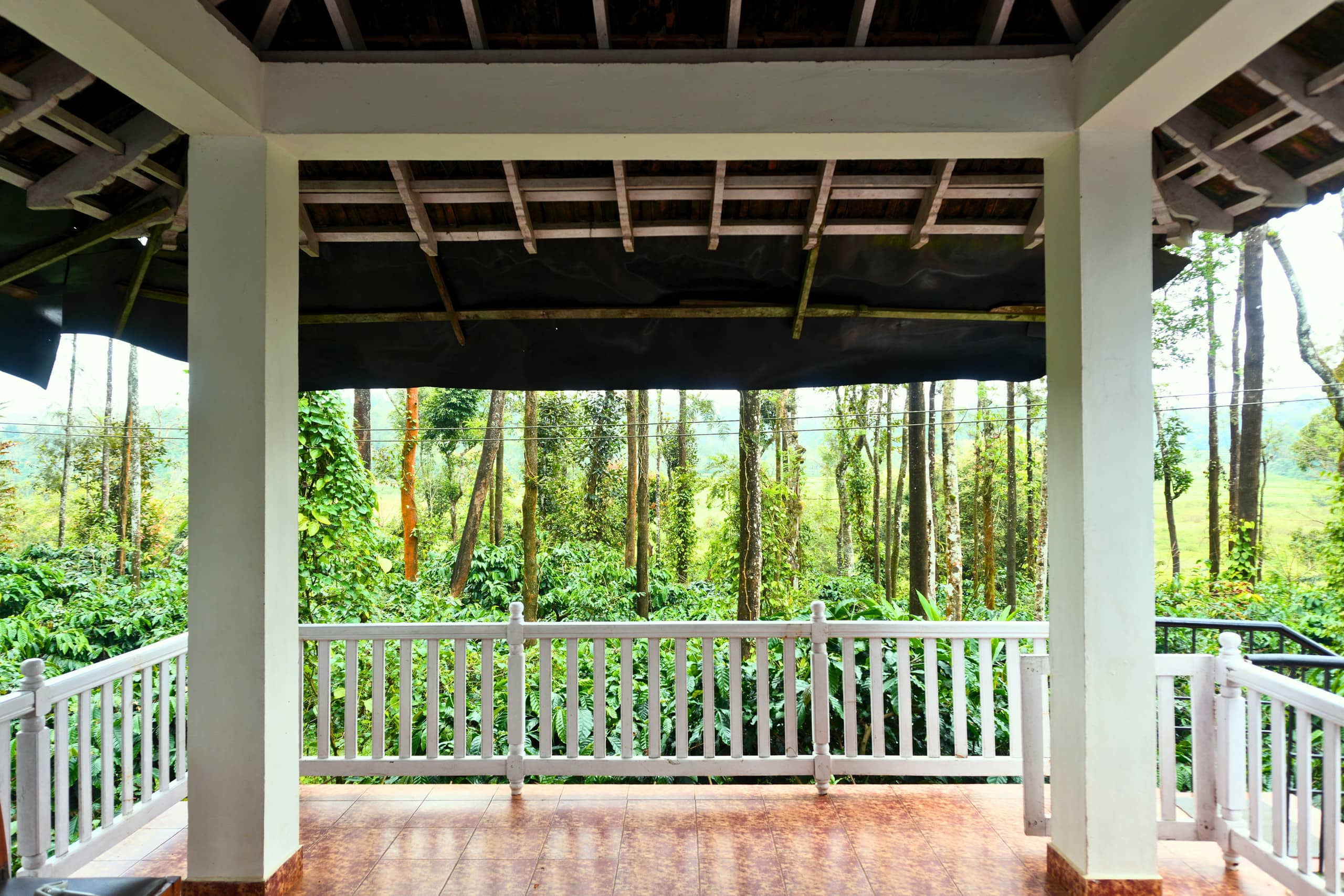 Daisy Land - Farm Stay. (Group of 6+ guests). 17