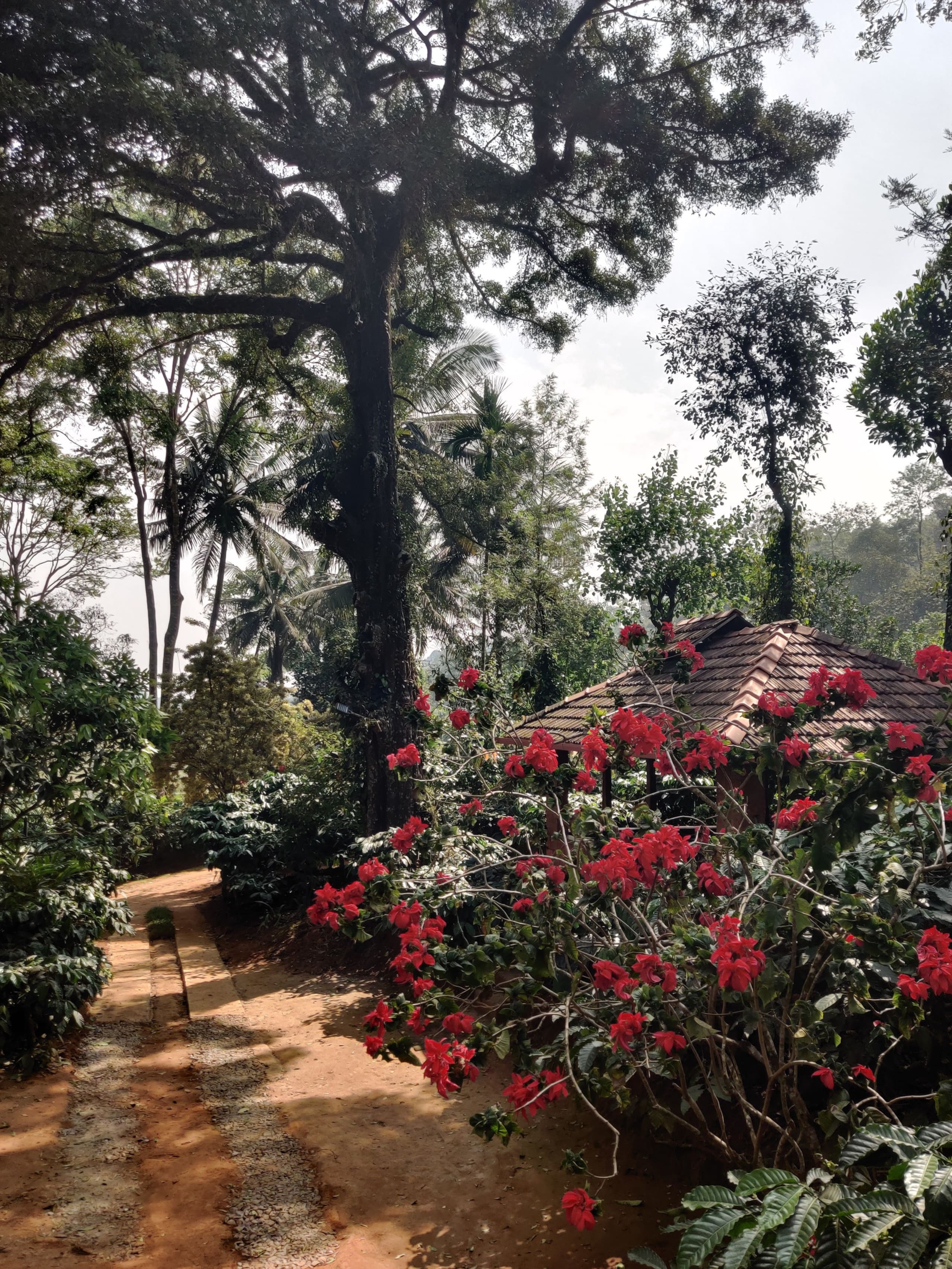 Daisy Land - Farm Stay. (Group of 6+ guests). 14