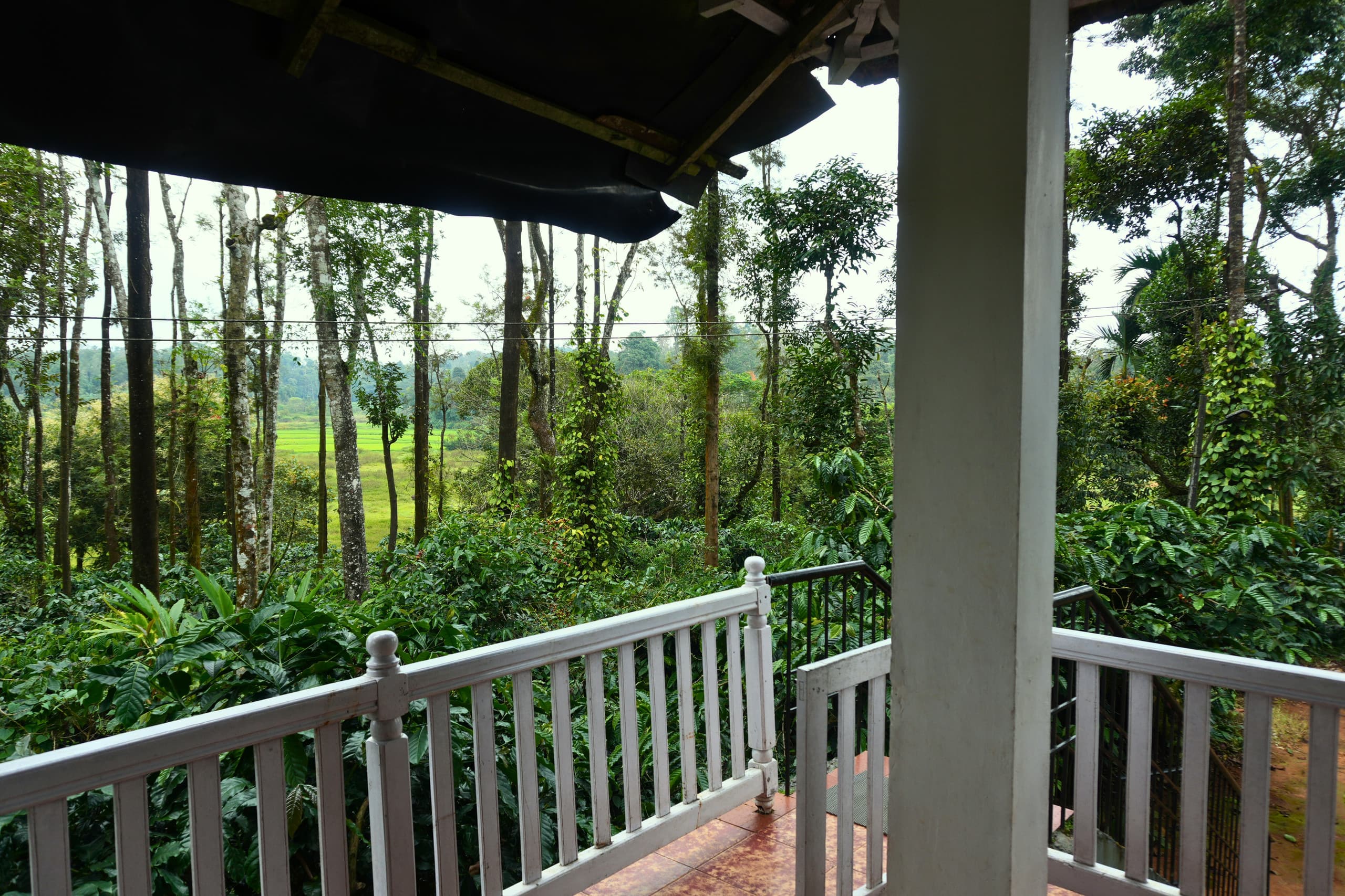 Daisy Land - Farm Stay. (Group of 6+ guests). 18