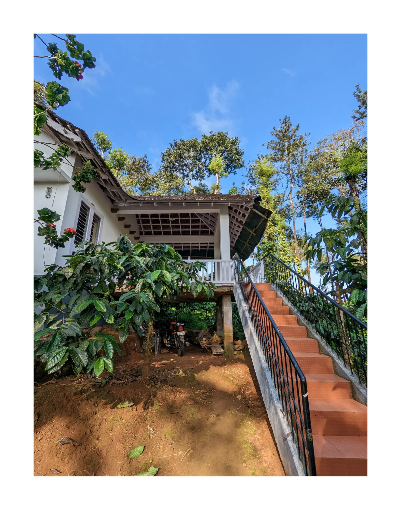 Daisy Land - Farm Stay. (Group of 6+ guests) 20
