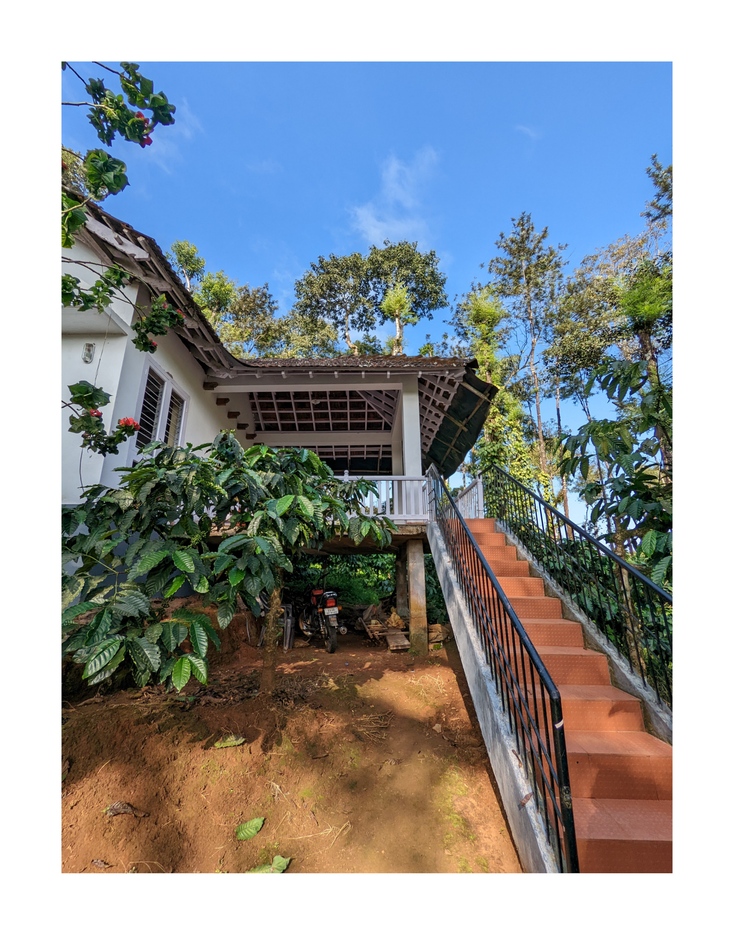Daisy Land - Farm Stay. (Group of 6+ guests). 20