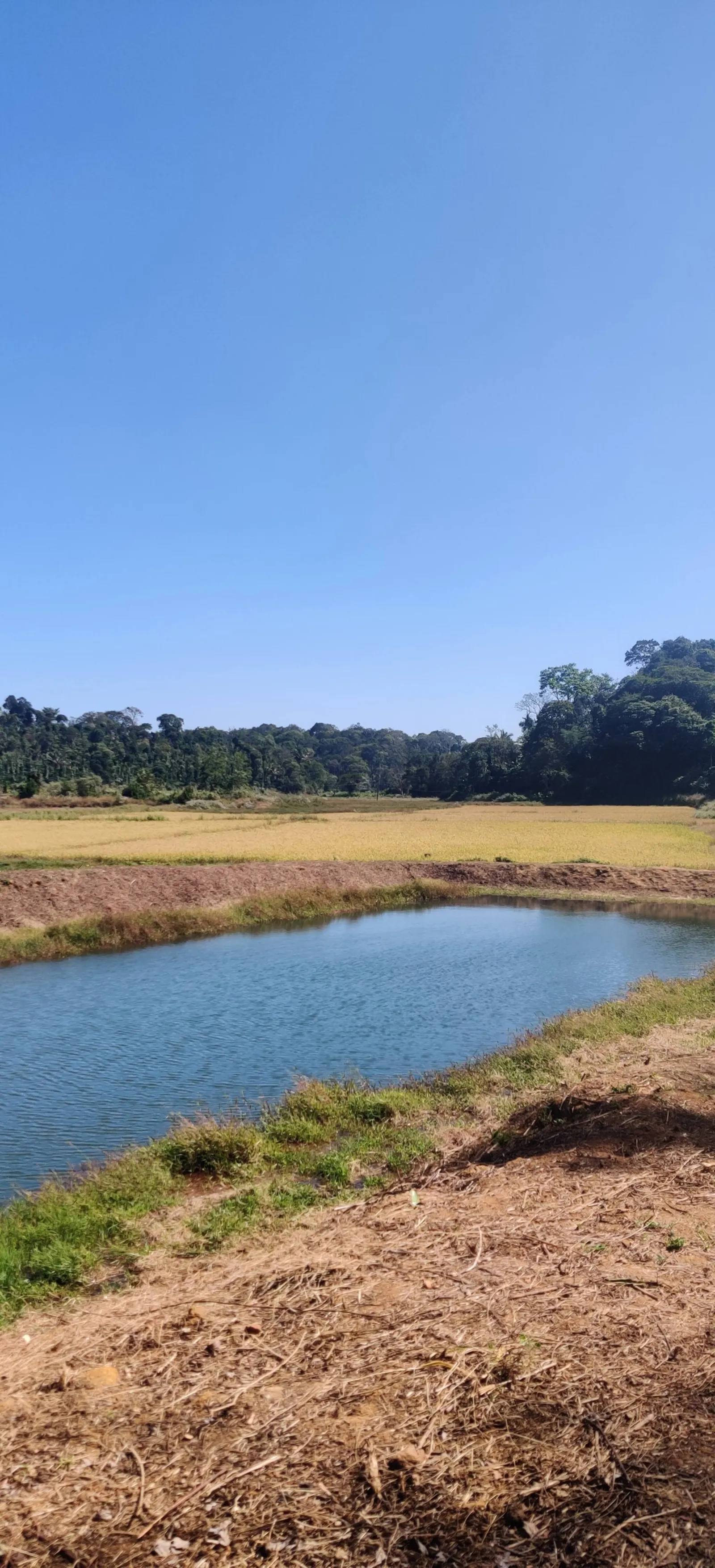 Daisy Land - Farm Stay. (Group of 6+ guests) 32