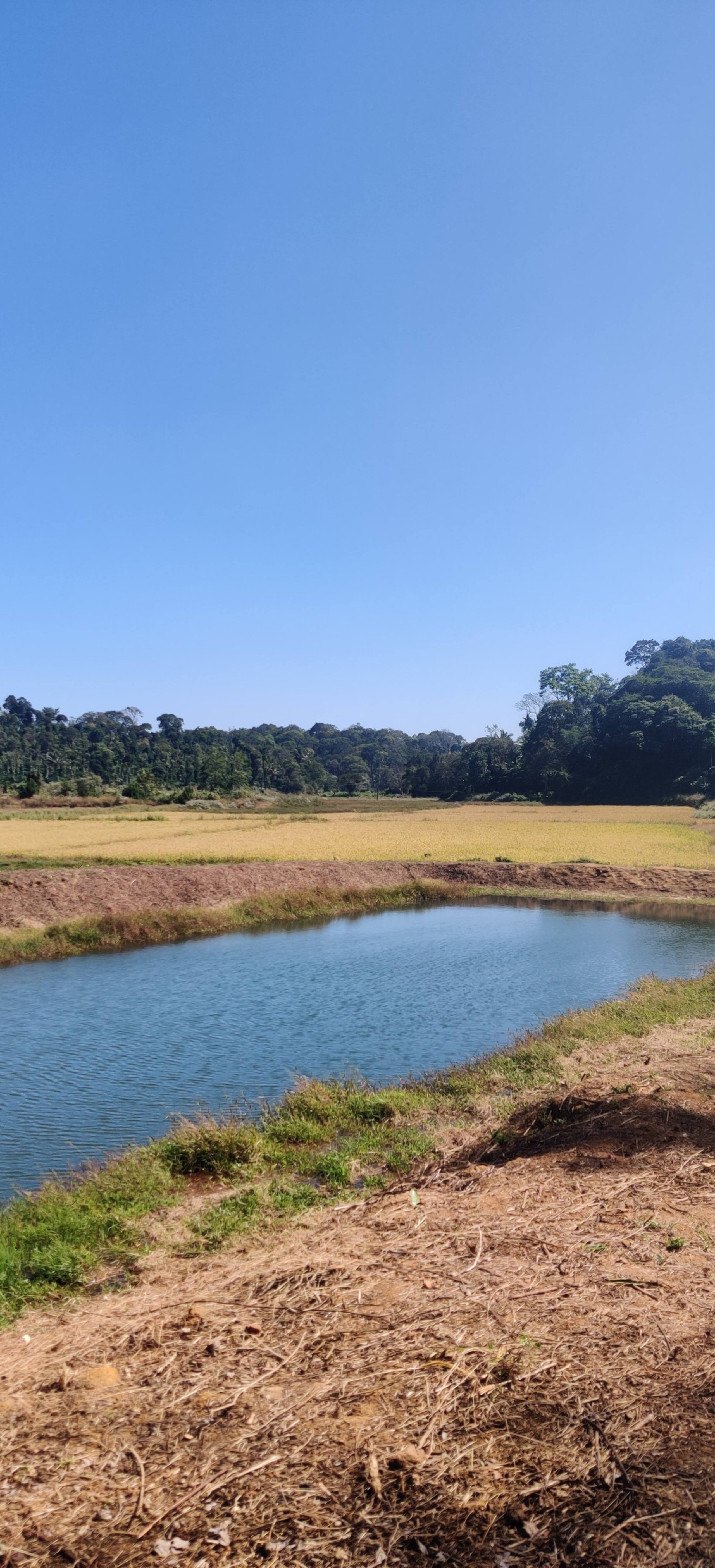 Daisy Land - Farm Stay. (Group of 6+ guests). 32