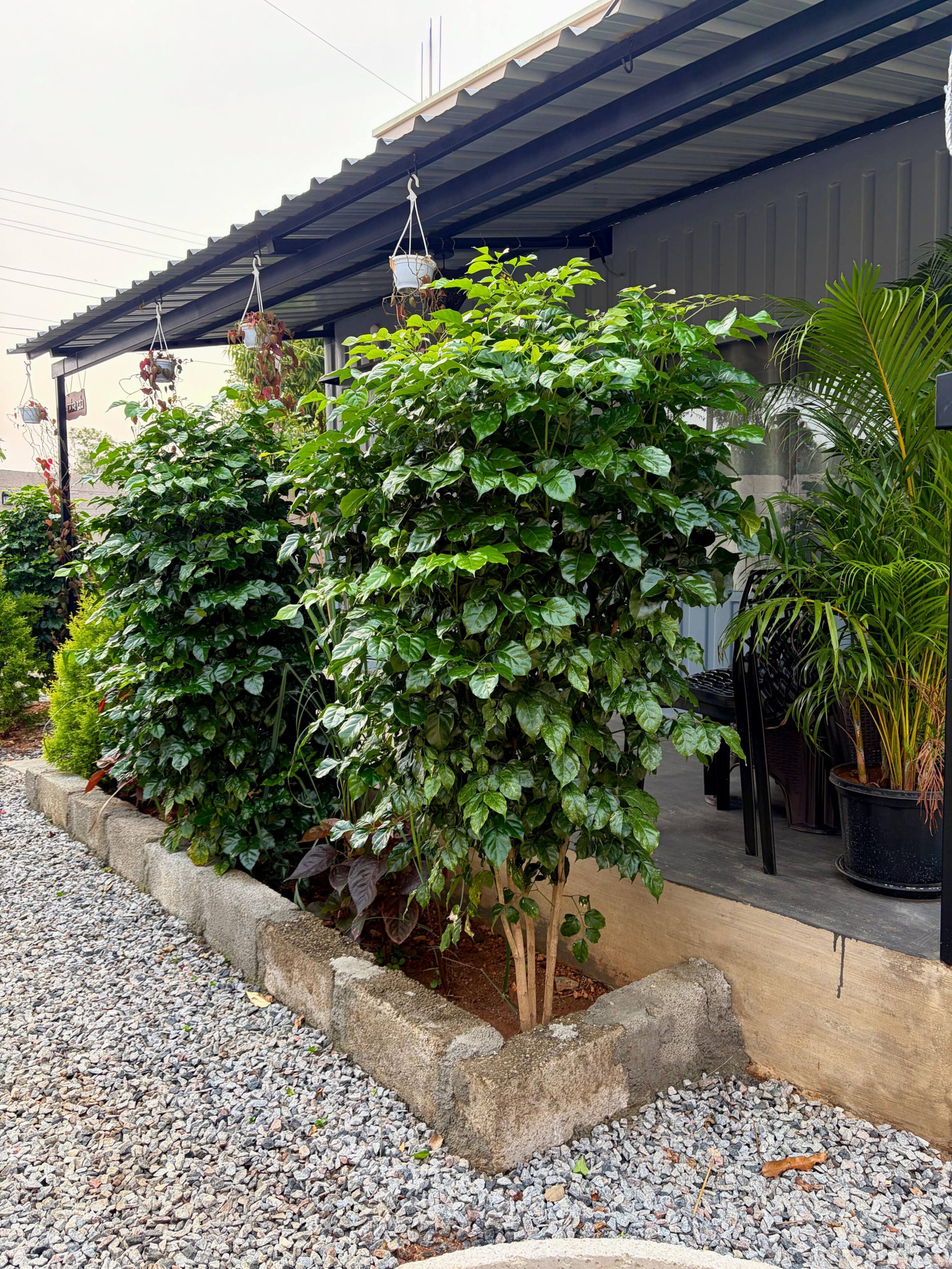 GUDU by Coexist | Container Stay | Pvt Garden 17