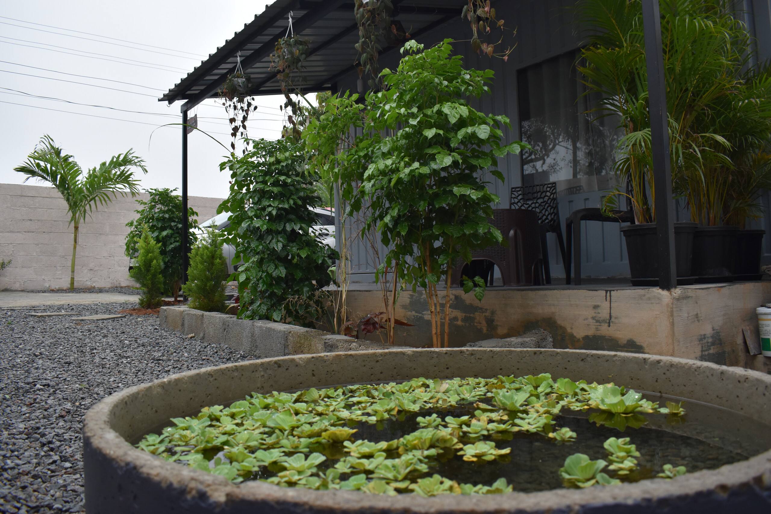 GUDU by Coexist | Container Stay | Pvt Garden — photo 5