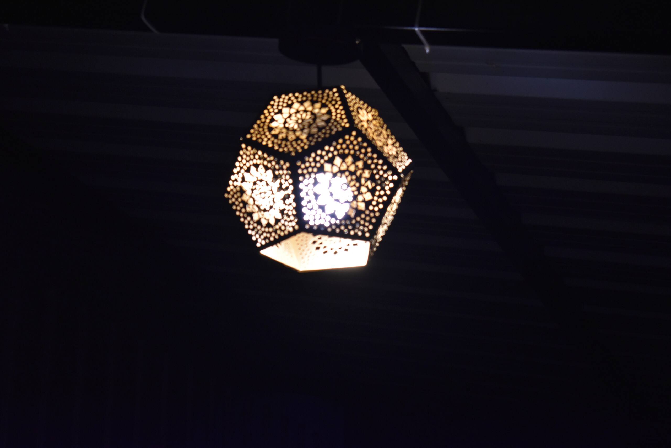 GUDU by Coexist | Container Stay | Pvt Garden 18