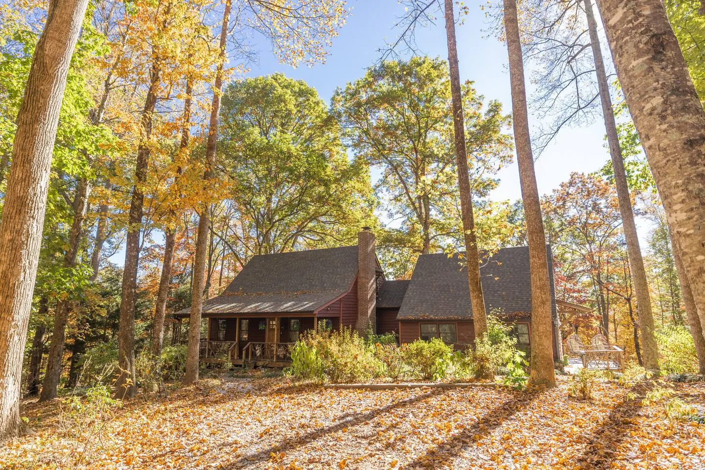 Elegant Forest Hideaway 2 Homes+Hot Tub+Firepit 7
