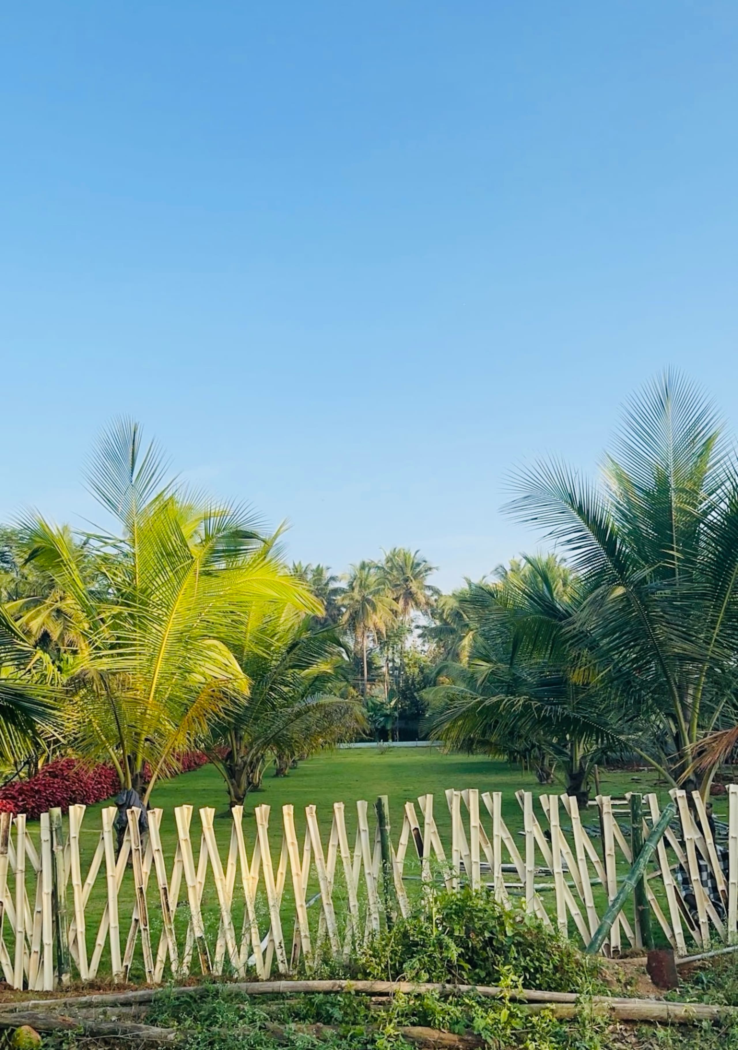 Tranquil Farm Stay by VanajaFarms 31