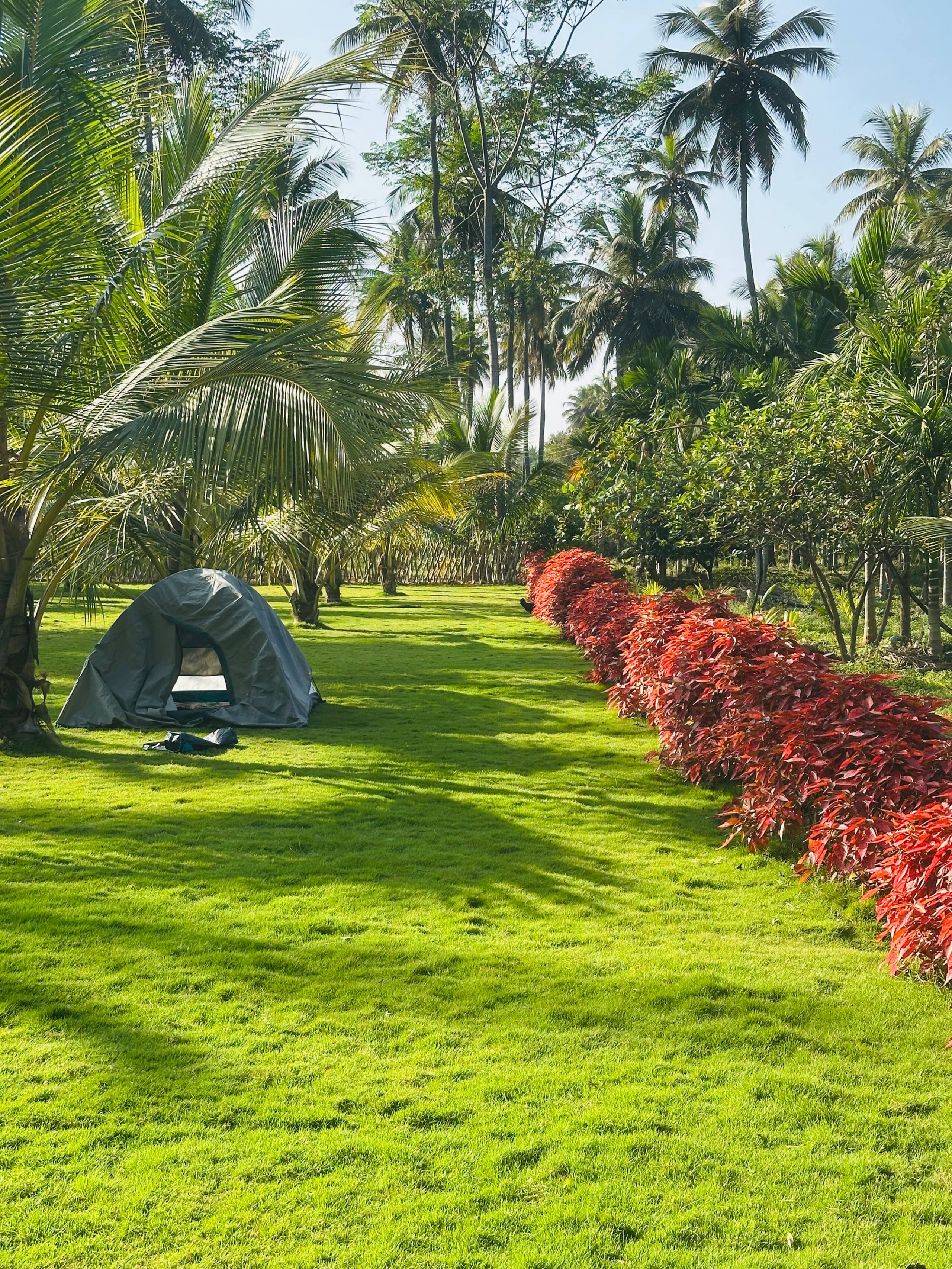 Tranquil Farm Stay by VanajaFarms 36