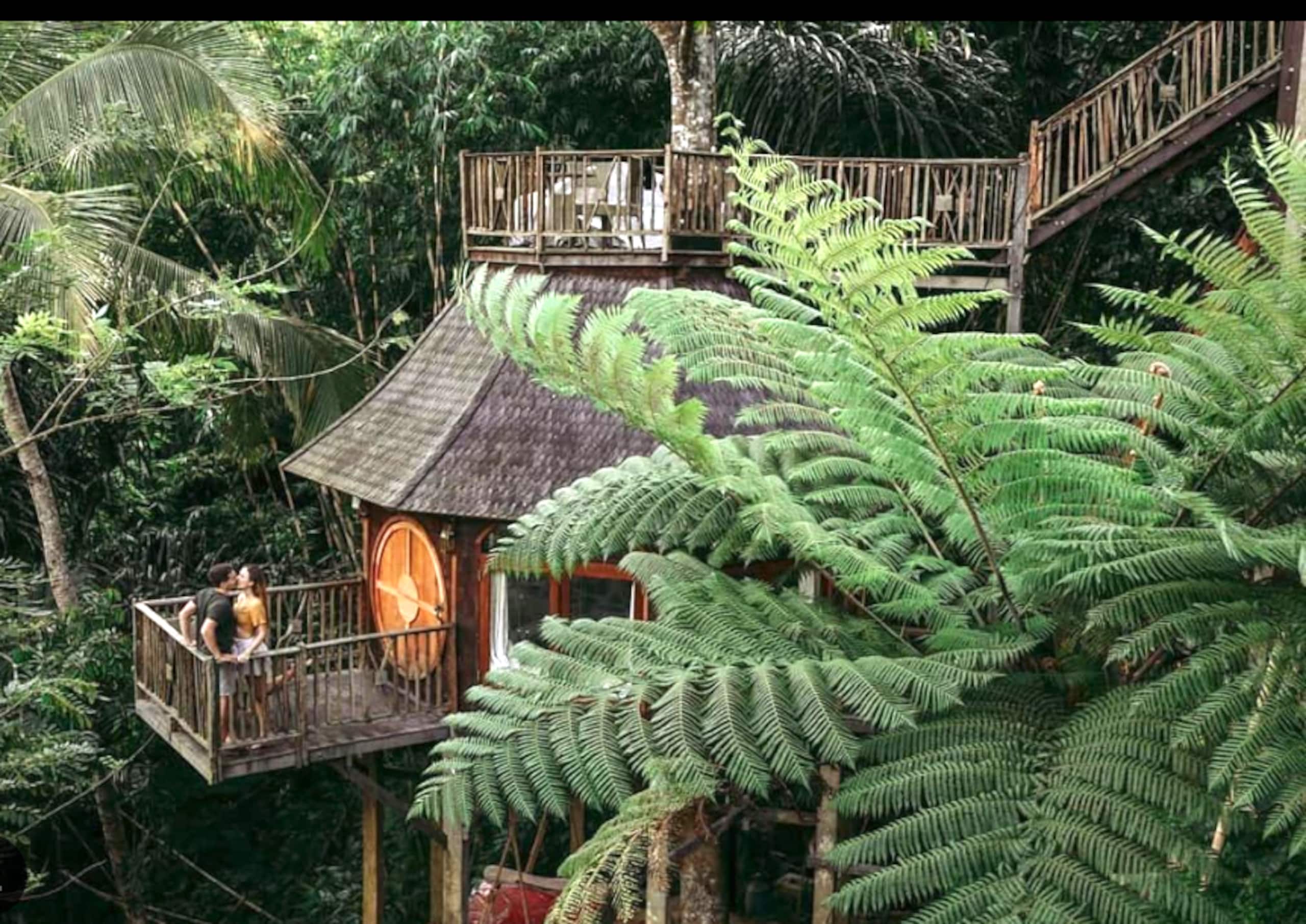 Enchanted Hobbit Treehouse Nestled in the Jungle