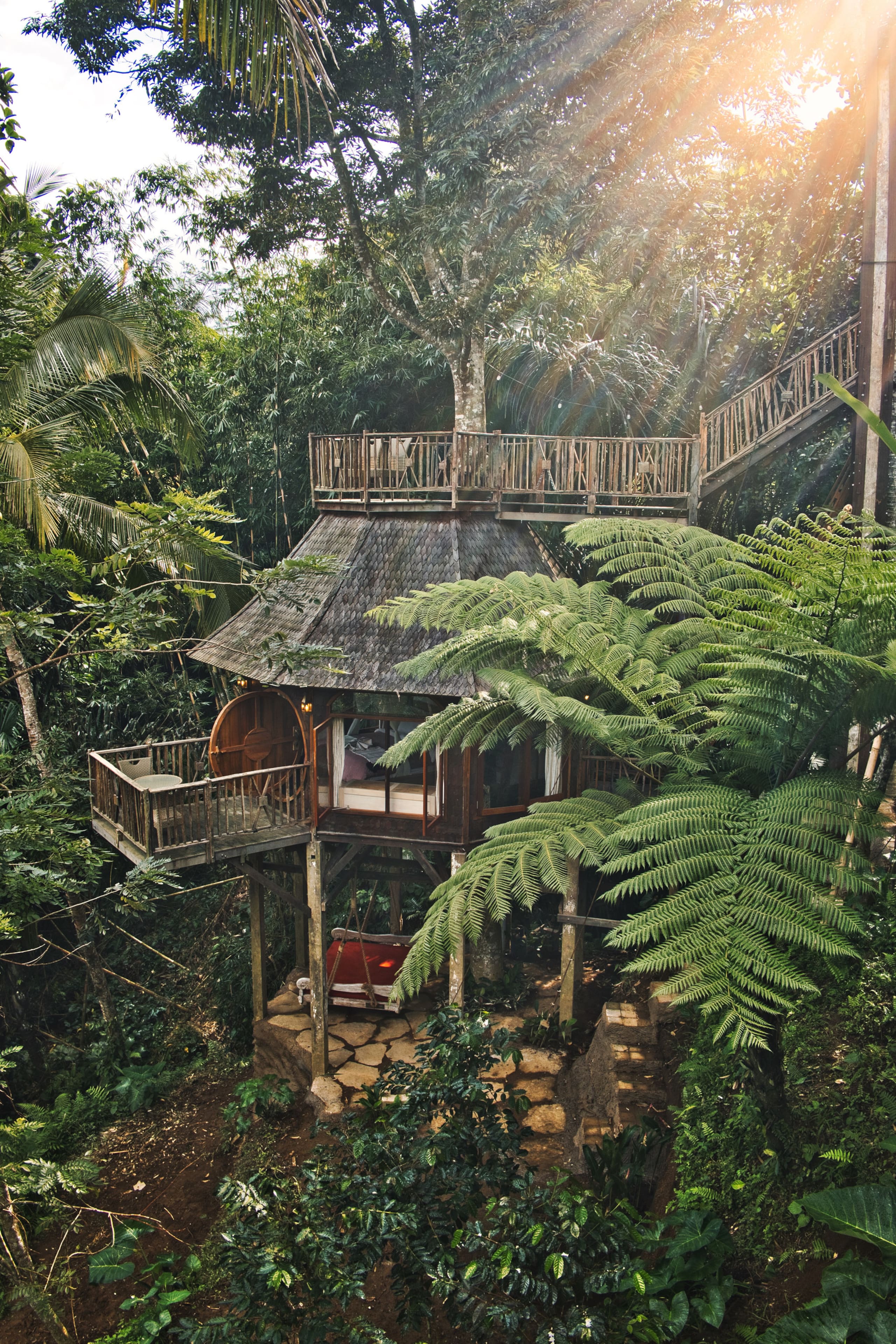 Enchanted Hobbit Treehouse Nestled in the Jungle 26