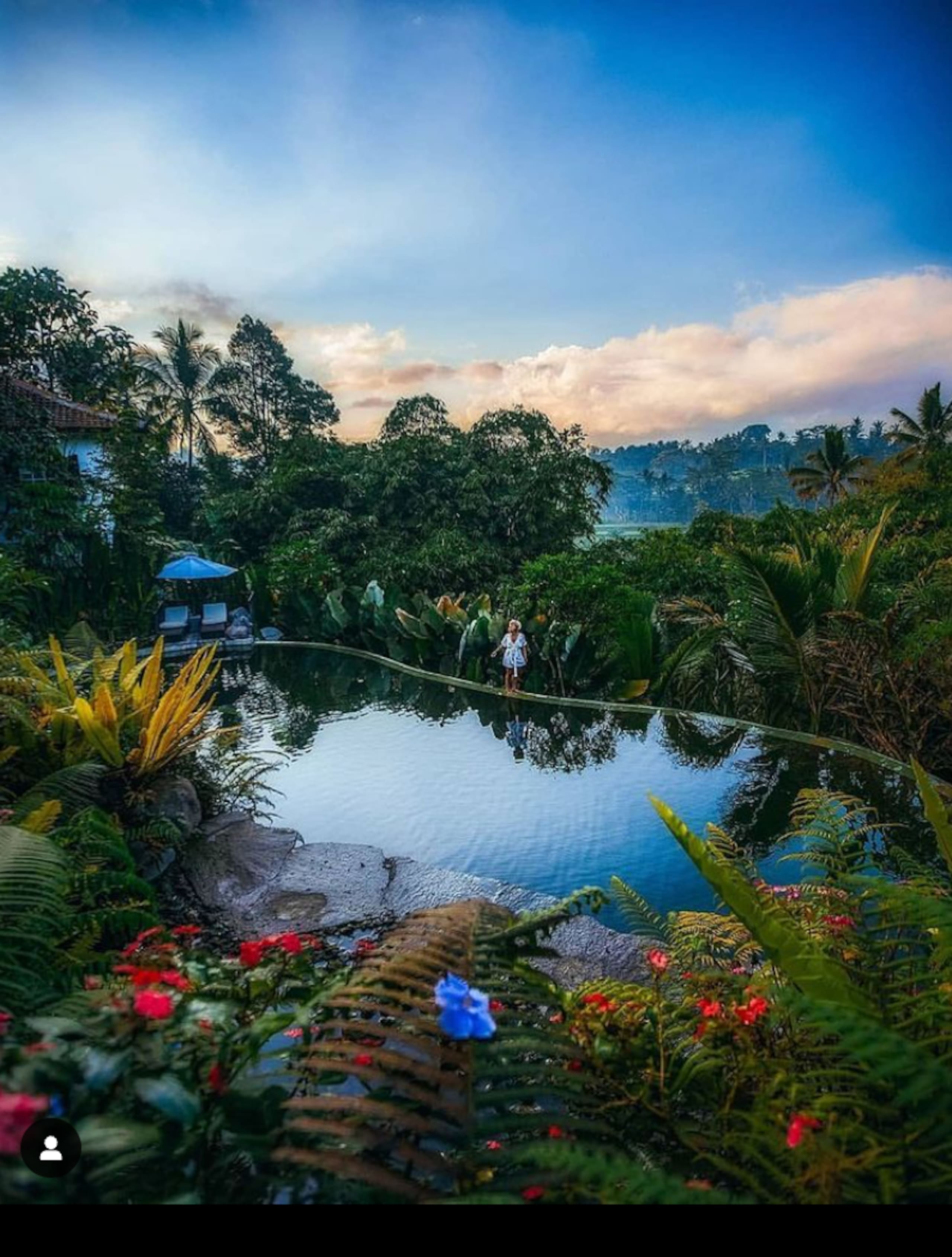 Enchanted Hobbit Treehouse Nestled in the Jungle 28