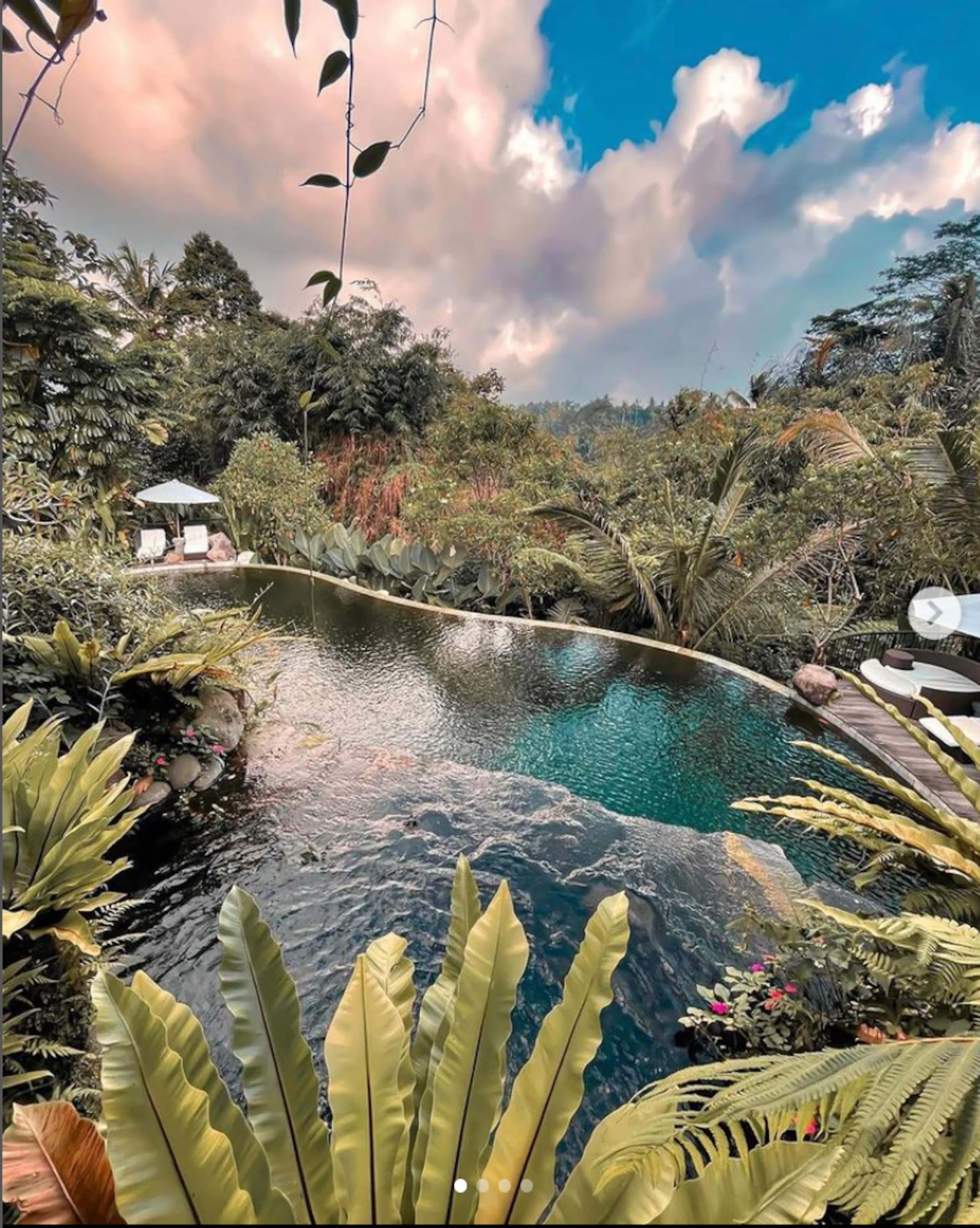 Enchanted Hobbit Treehouse Nestled in the Jungle 29