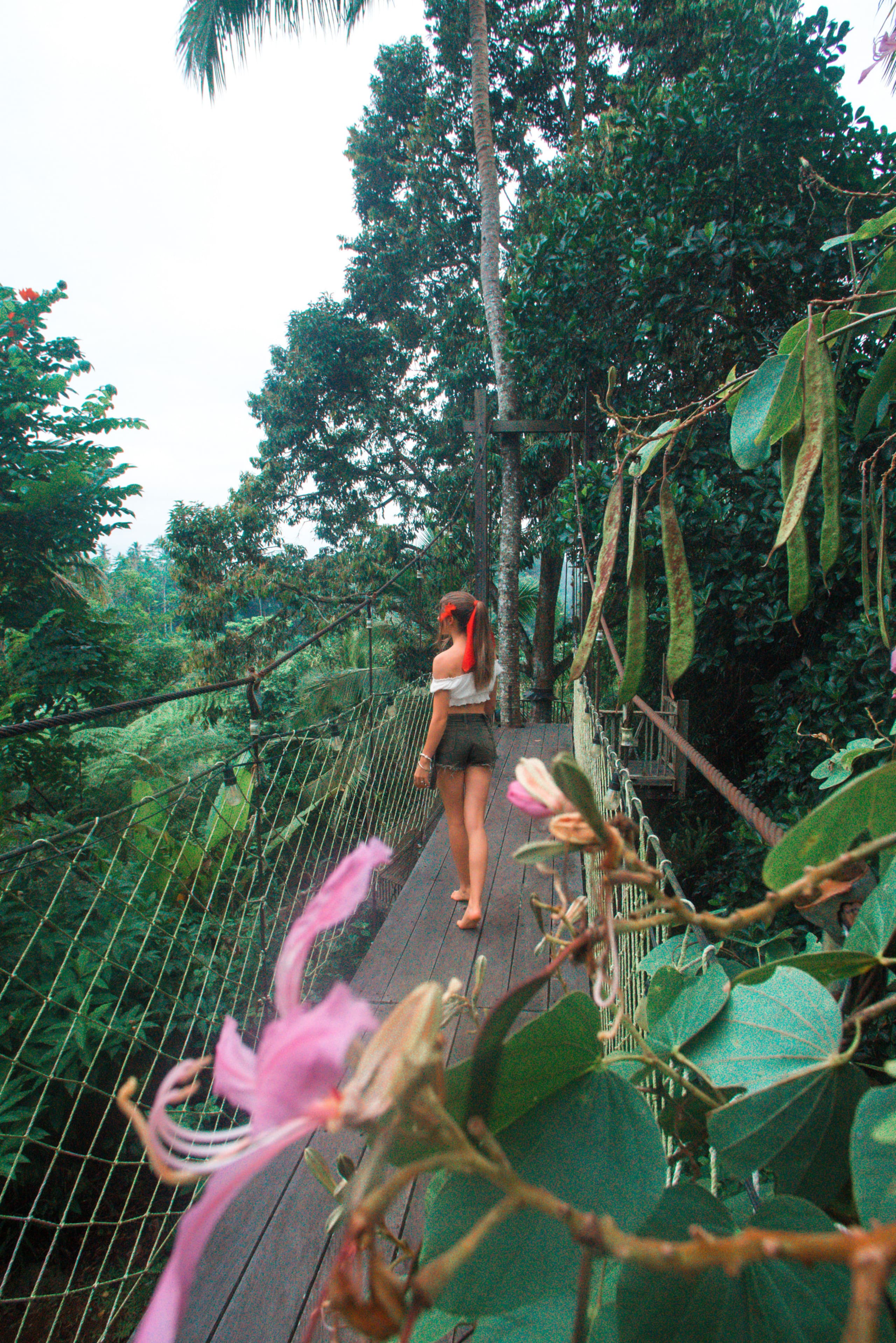 Enchanted Hobbit Treehouse Nestled in the Jungle 31