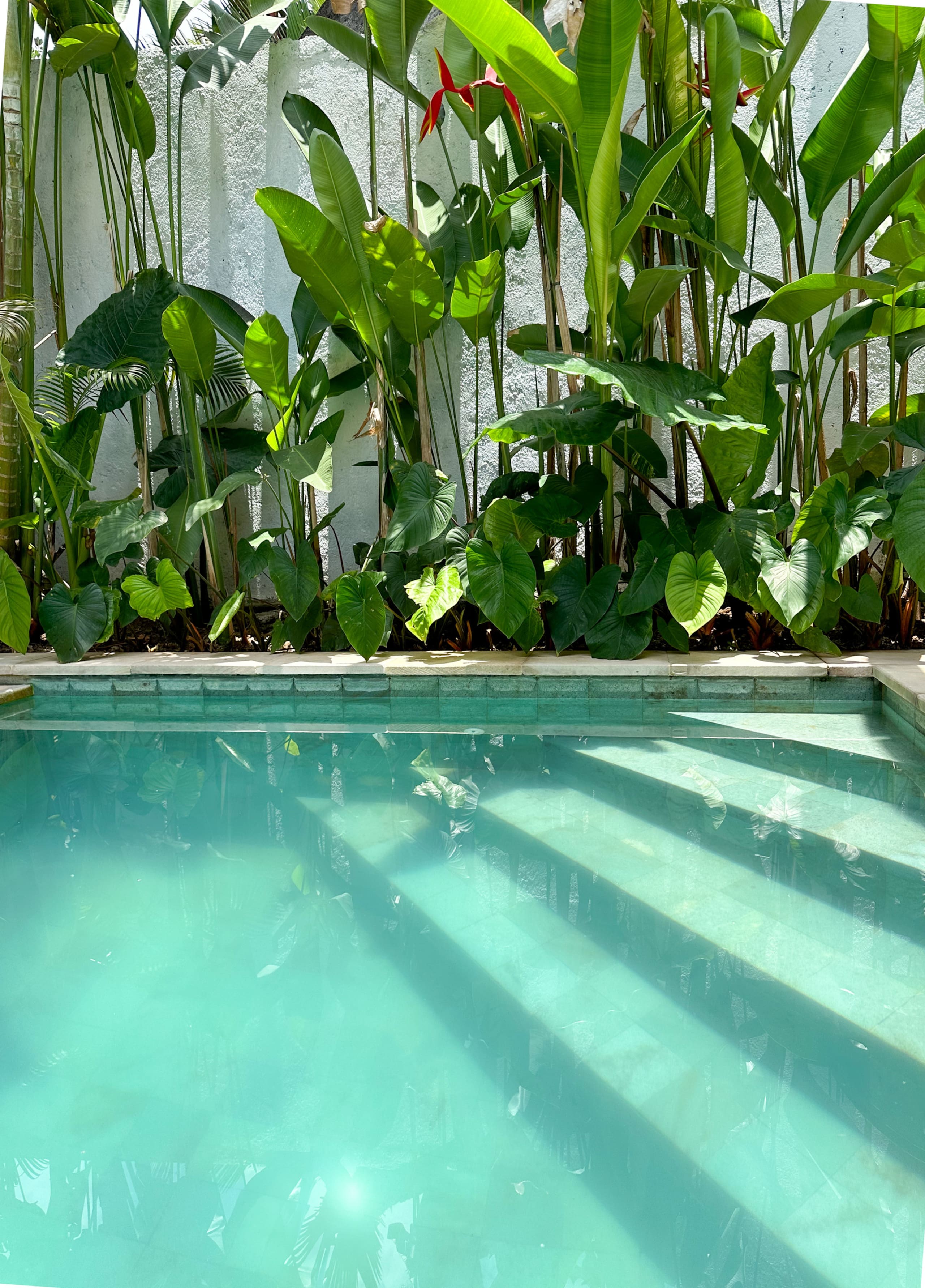 Villa Sentosa | Private Pool in Peaceful Nature 19