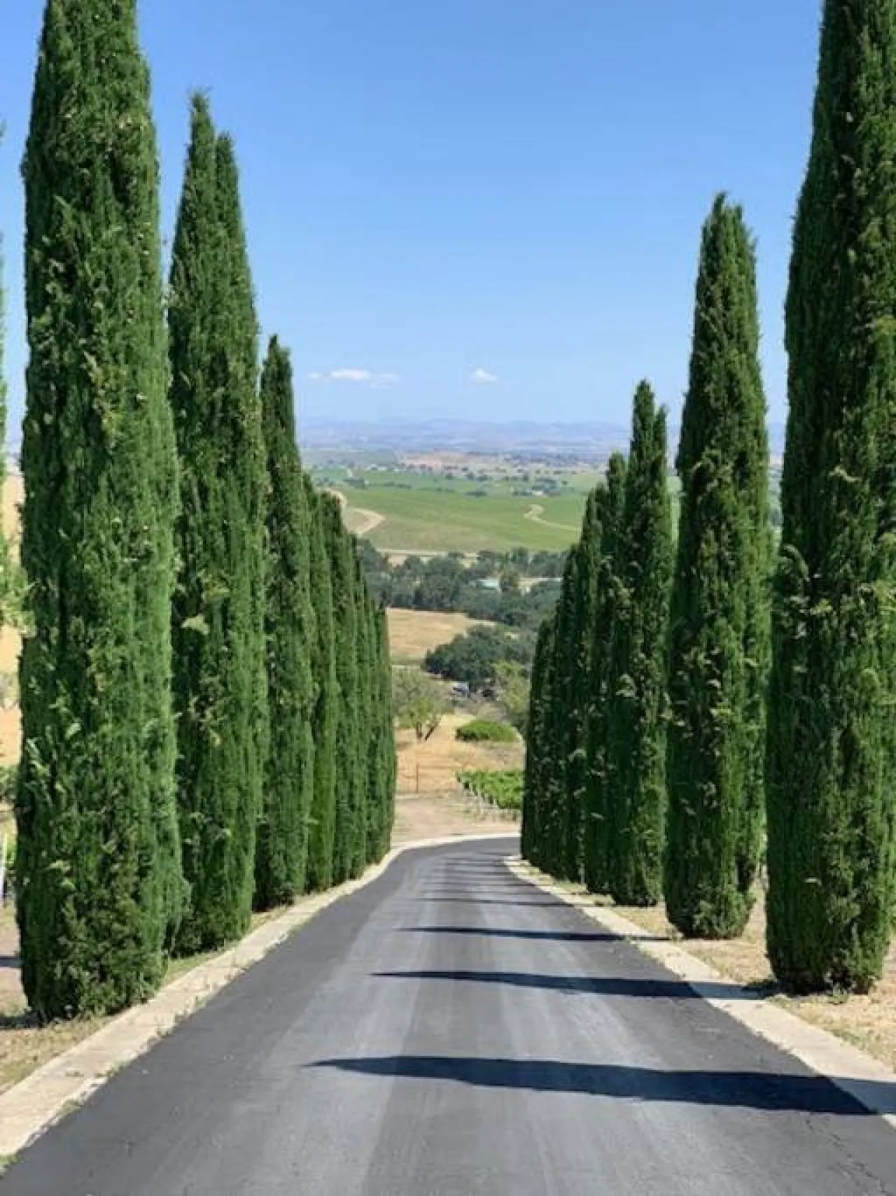 Aterno Estate & Vineyard, Main House 13