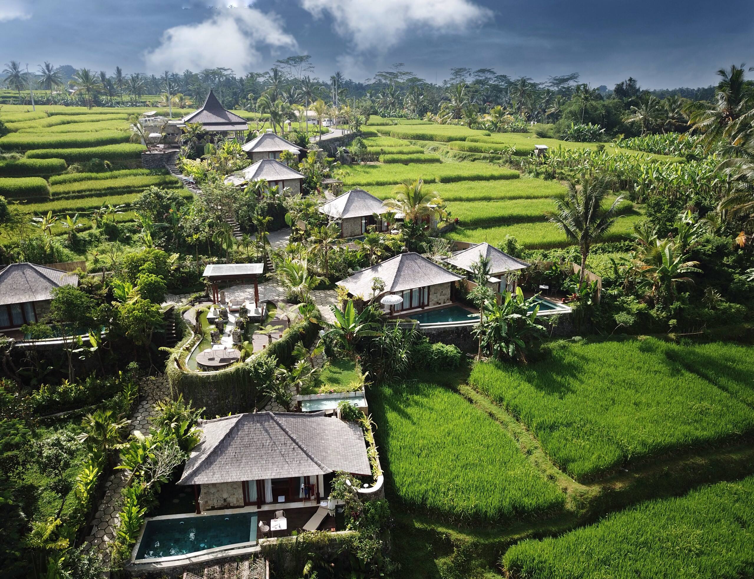 Nau Villa Ubud — photo 3