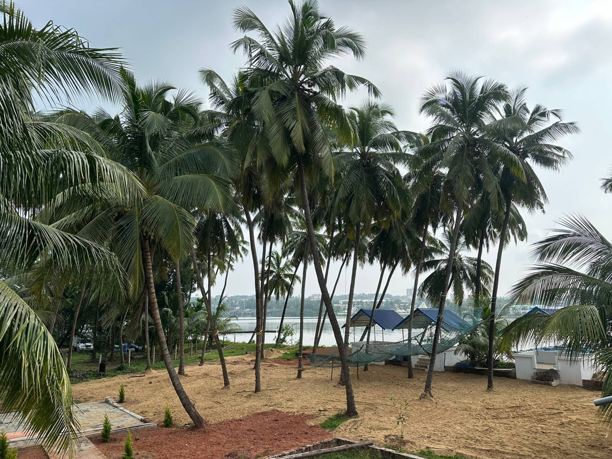 Cradle N Palms - River side 2