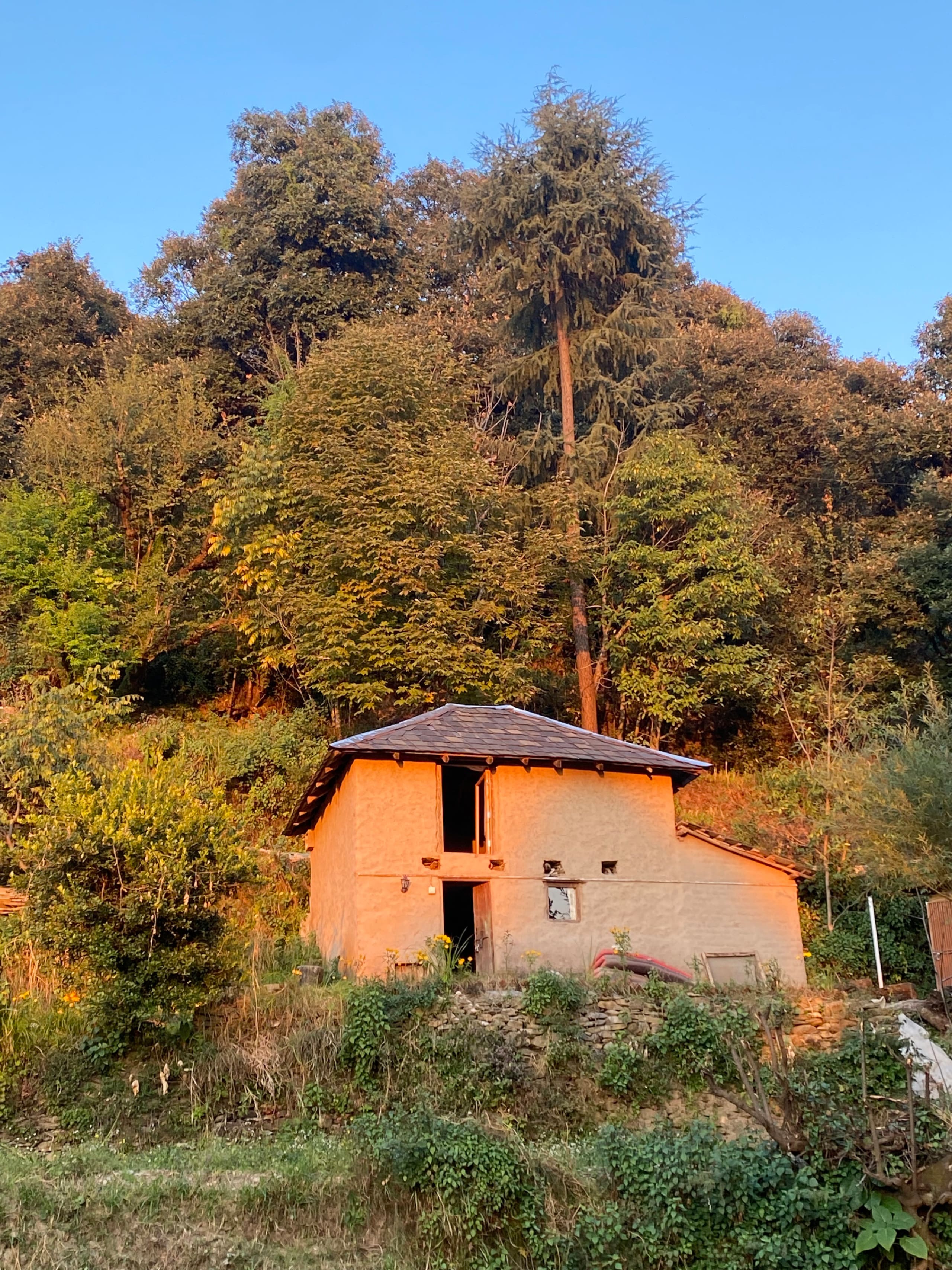Dream and Adventure Homestay 31