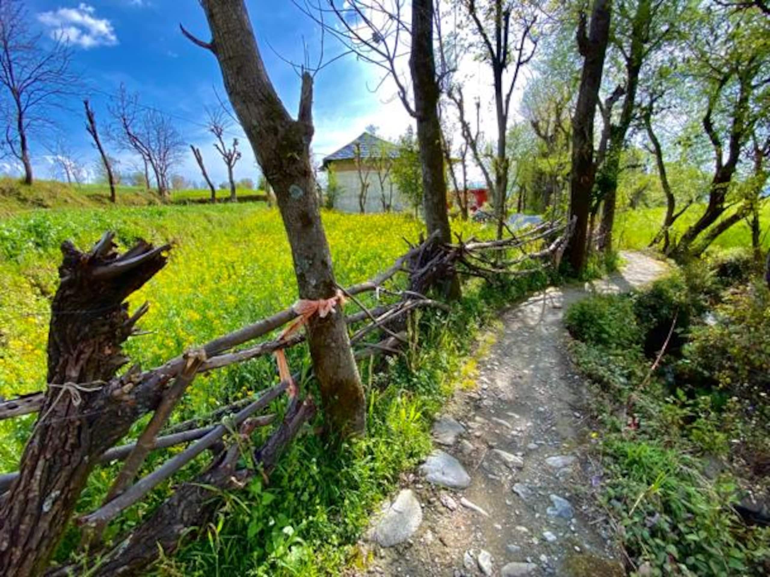 Dream and Adventure Homestay 39