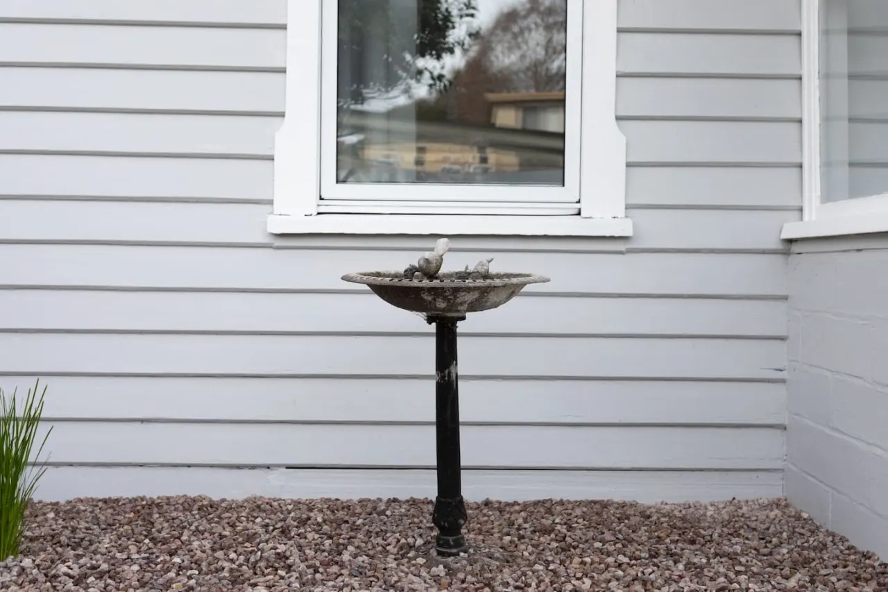 Celtic Cottage - Scottsdale 12