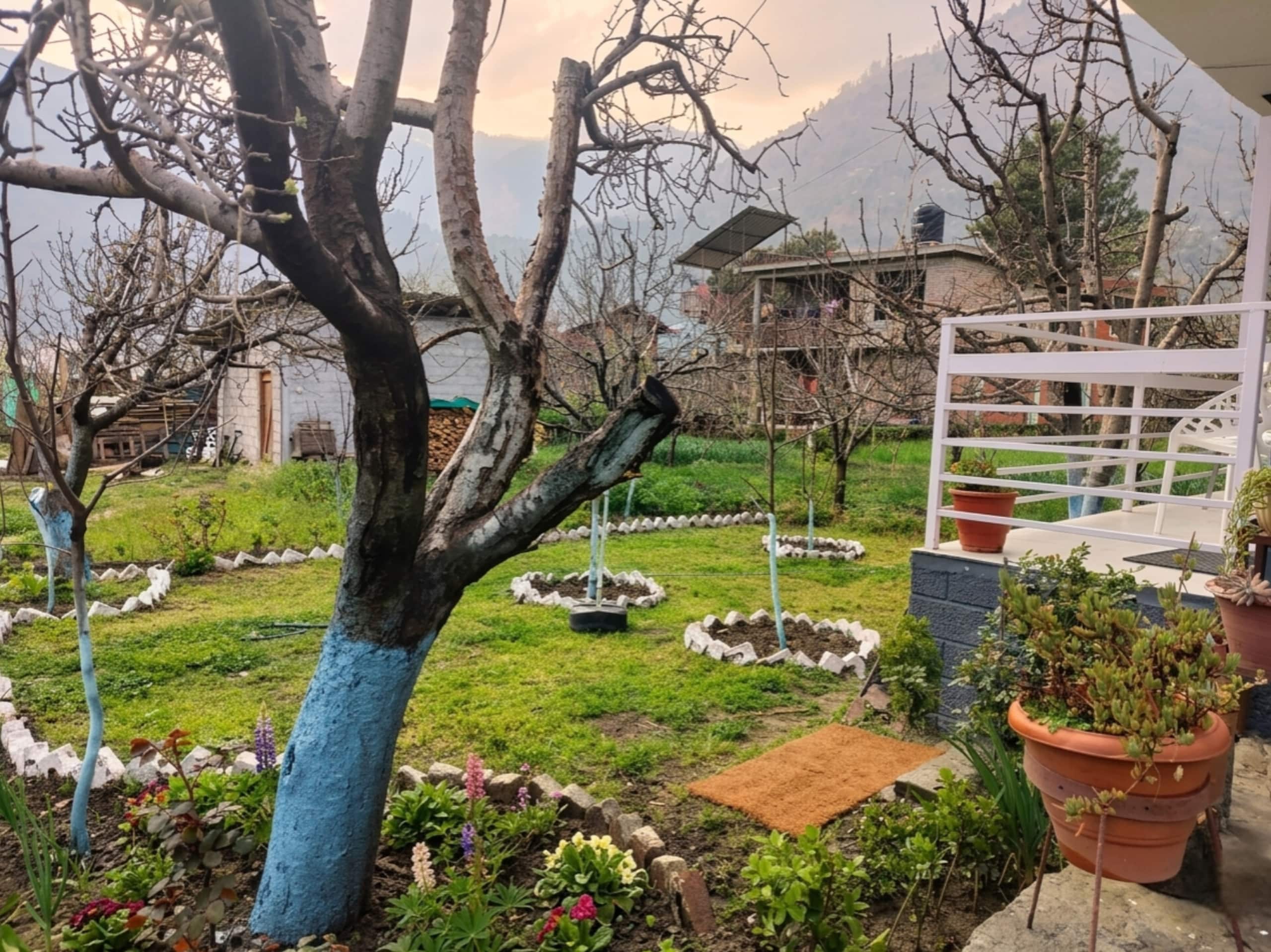2BHK Orchard Heaven: Cozy Loft 13