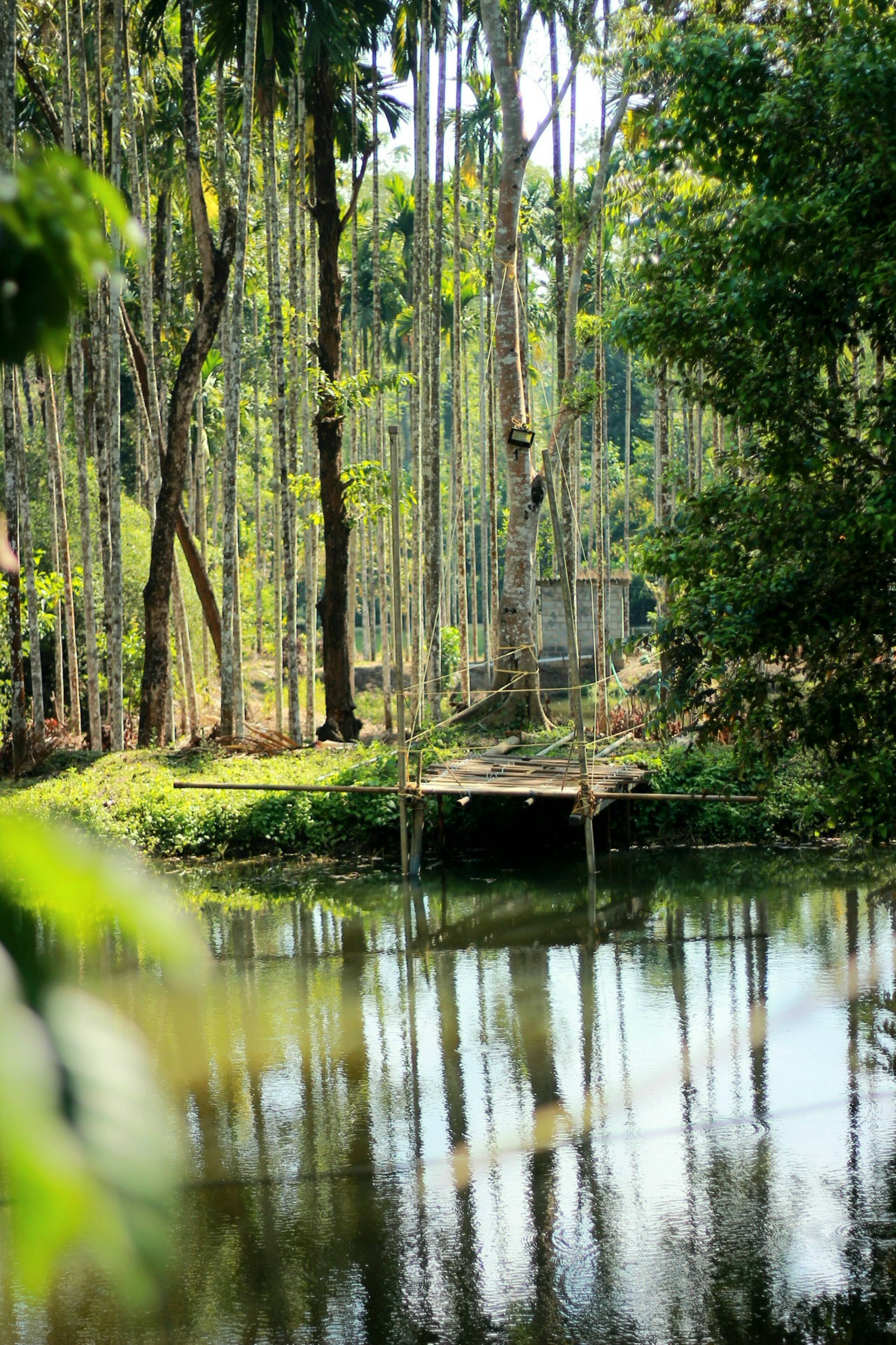 Entire Villa Surrounded by Nagarahole forest 13