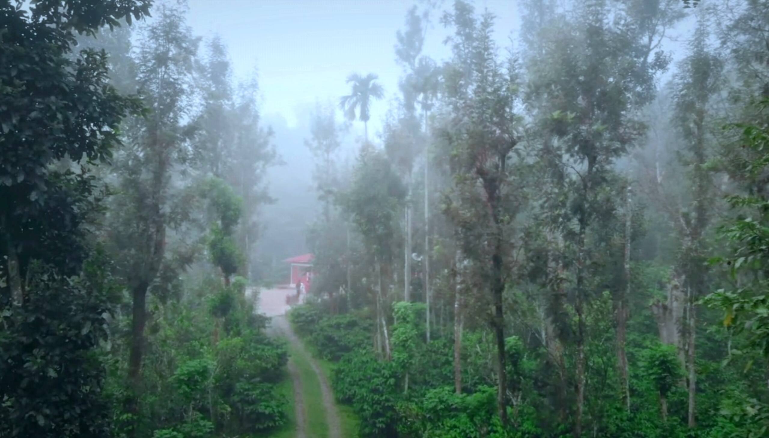 Entire Villa Surrounded by Nagarahole forest 14