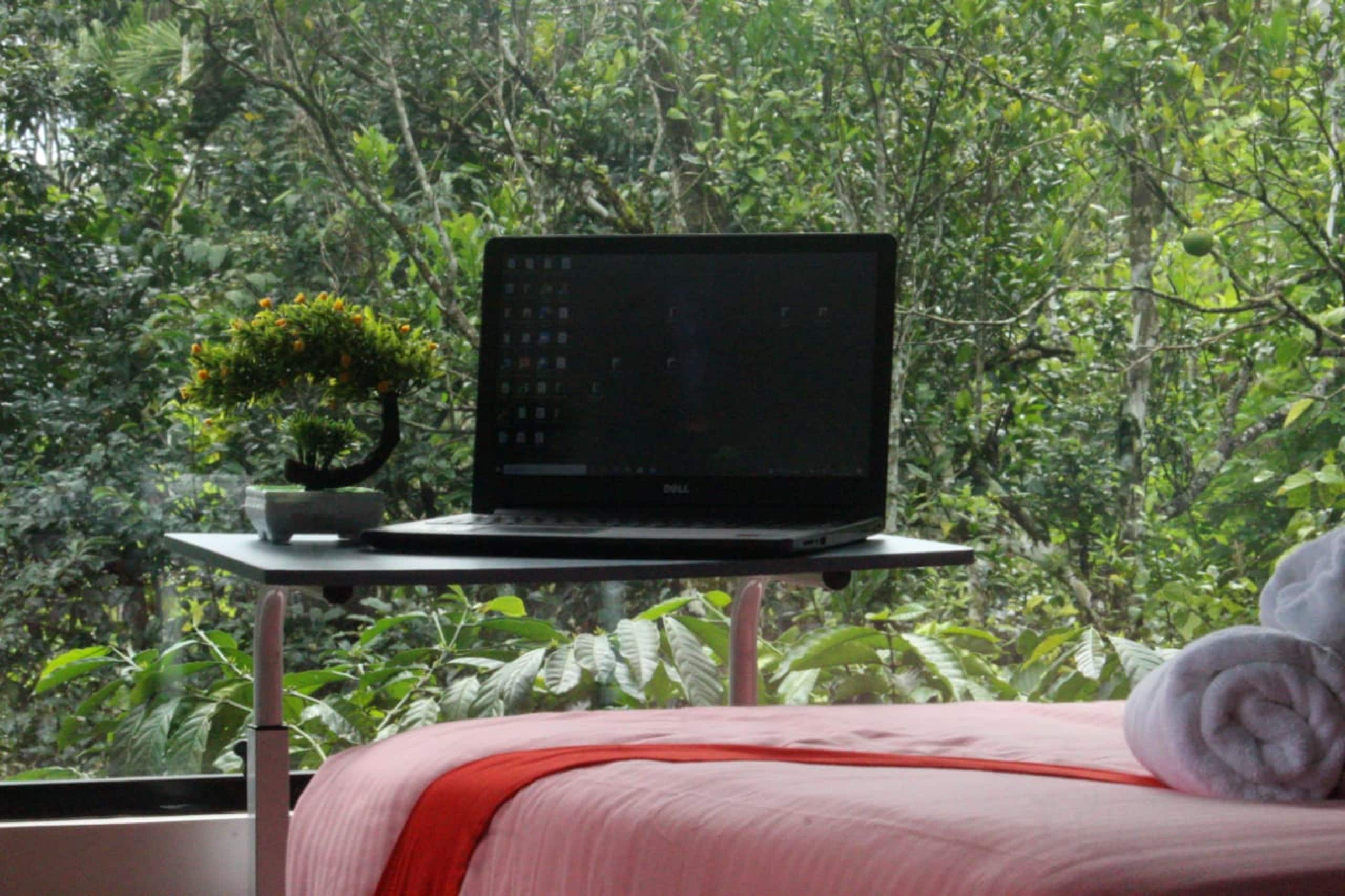 Entire Villa Surrounded by Nagarahole forest 9