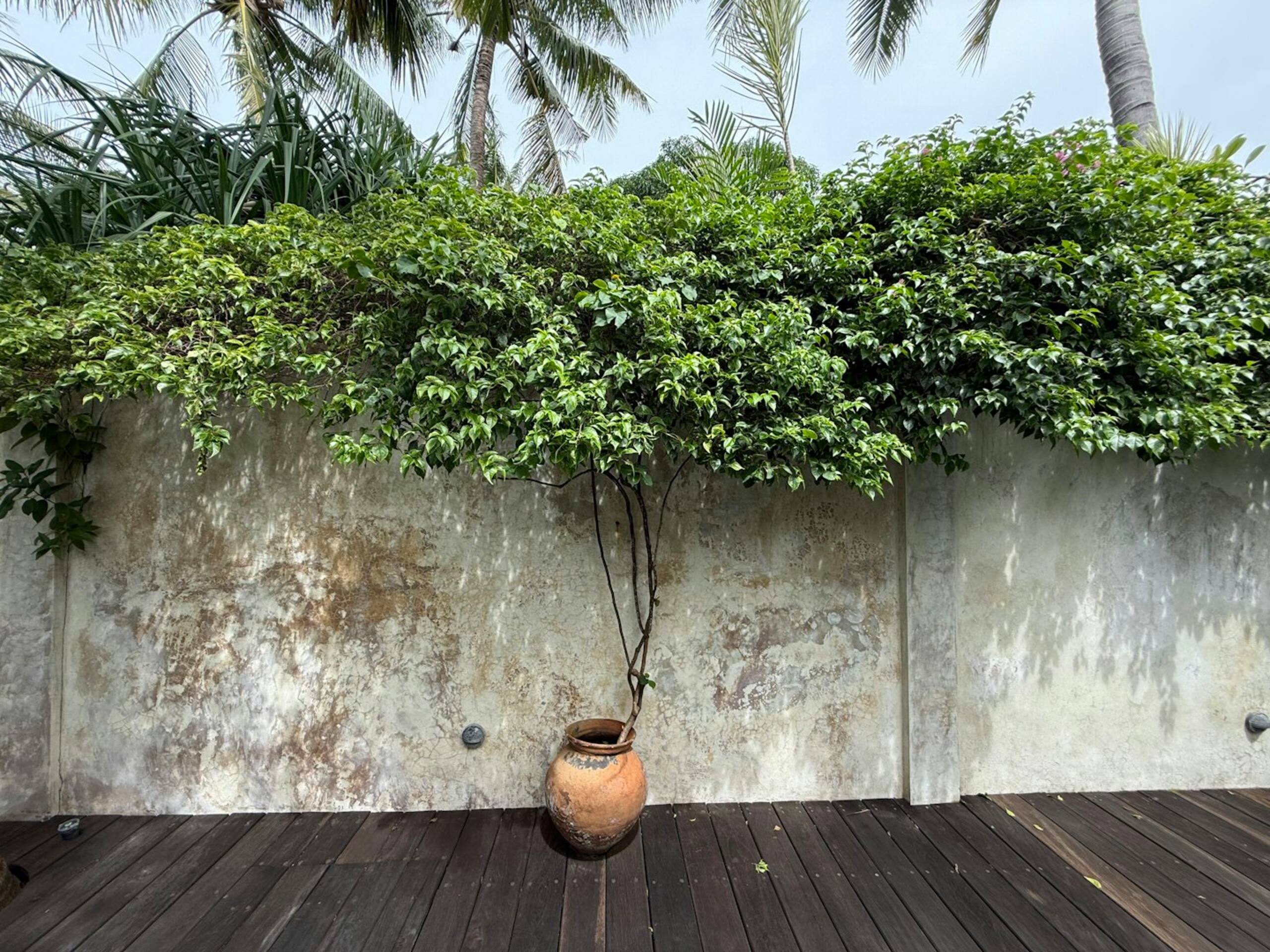 Top rated Private Tropical Pool Villa Lembongan 30