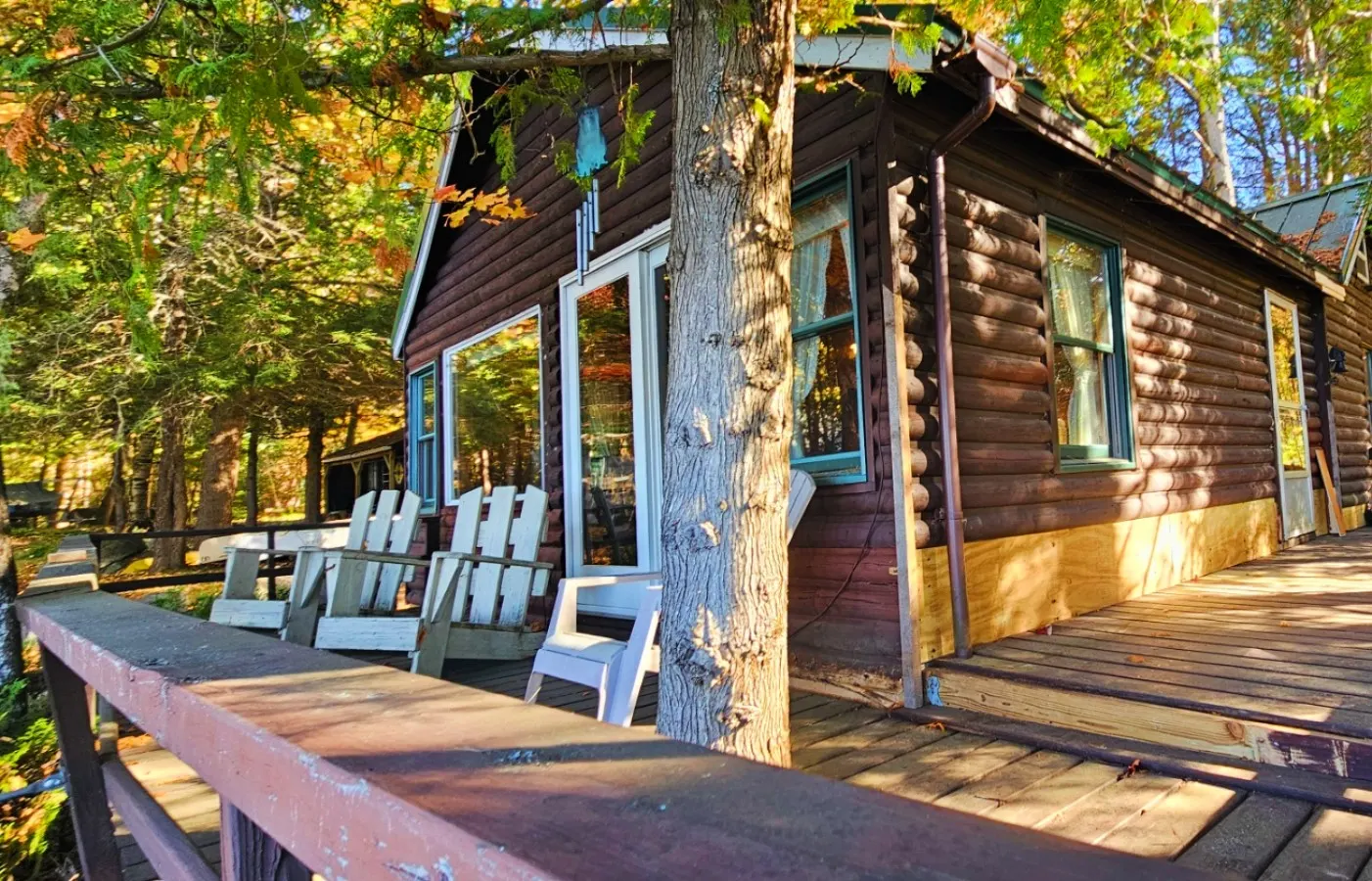 Birchwood Cabin 10