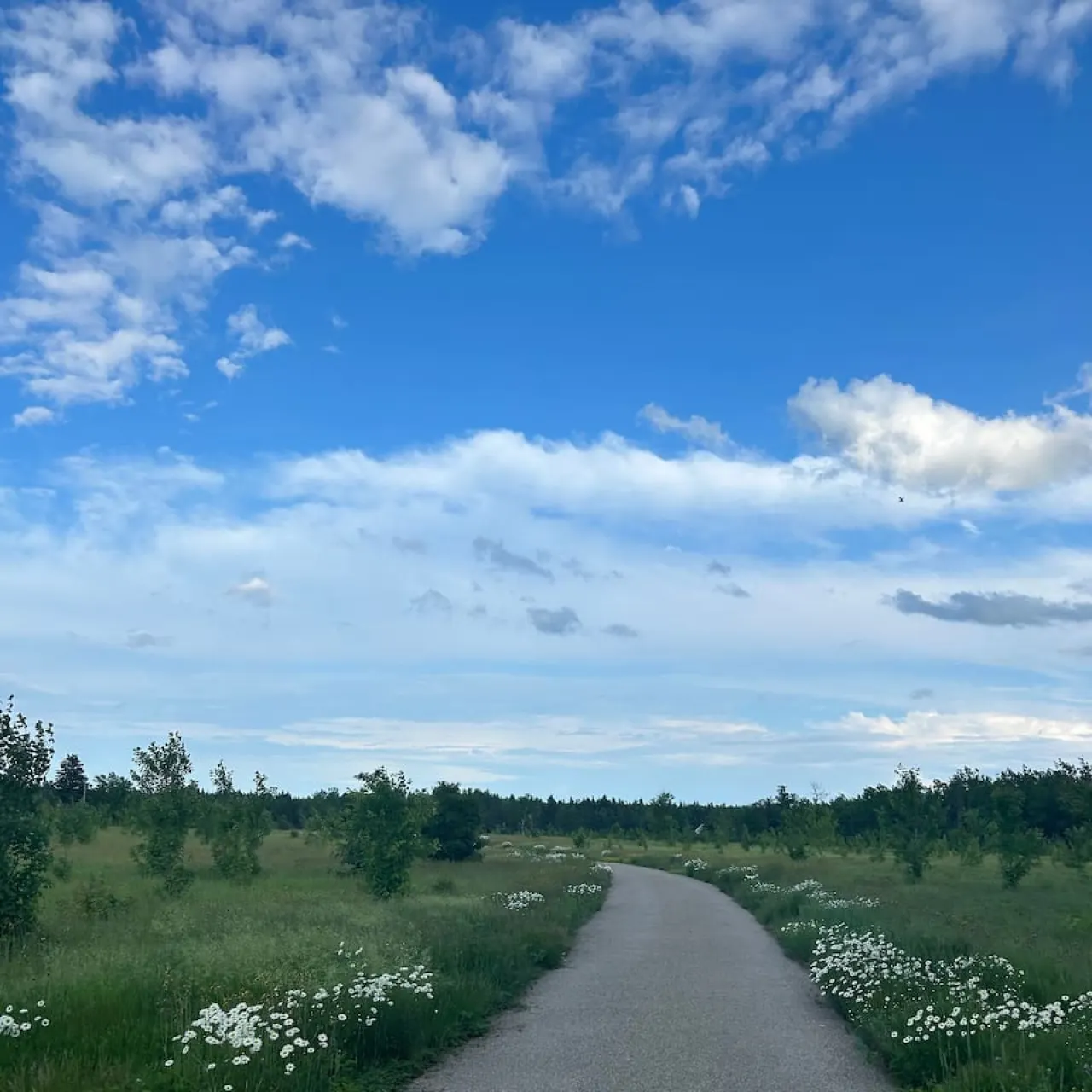 Private Waterfront Getaway — photo 5