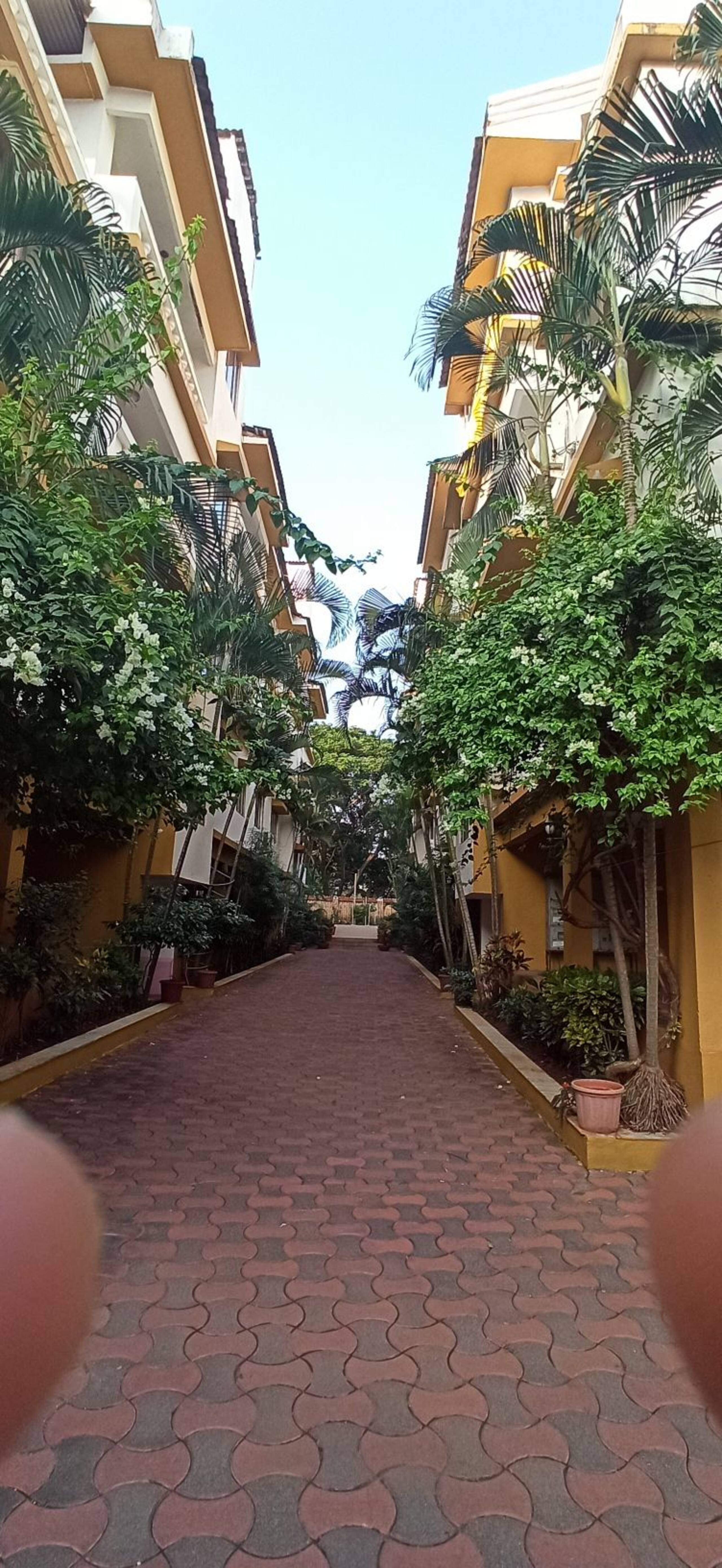 Marshall Retreat -2 BHK Apartment, Betalbatim — photo 3