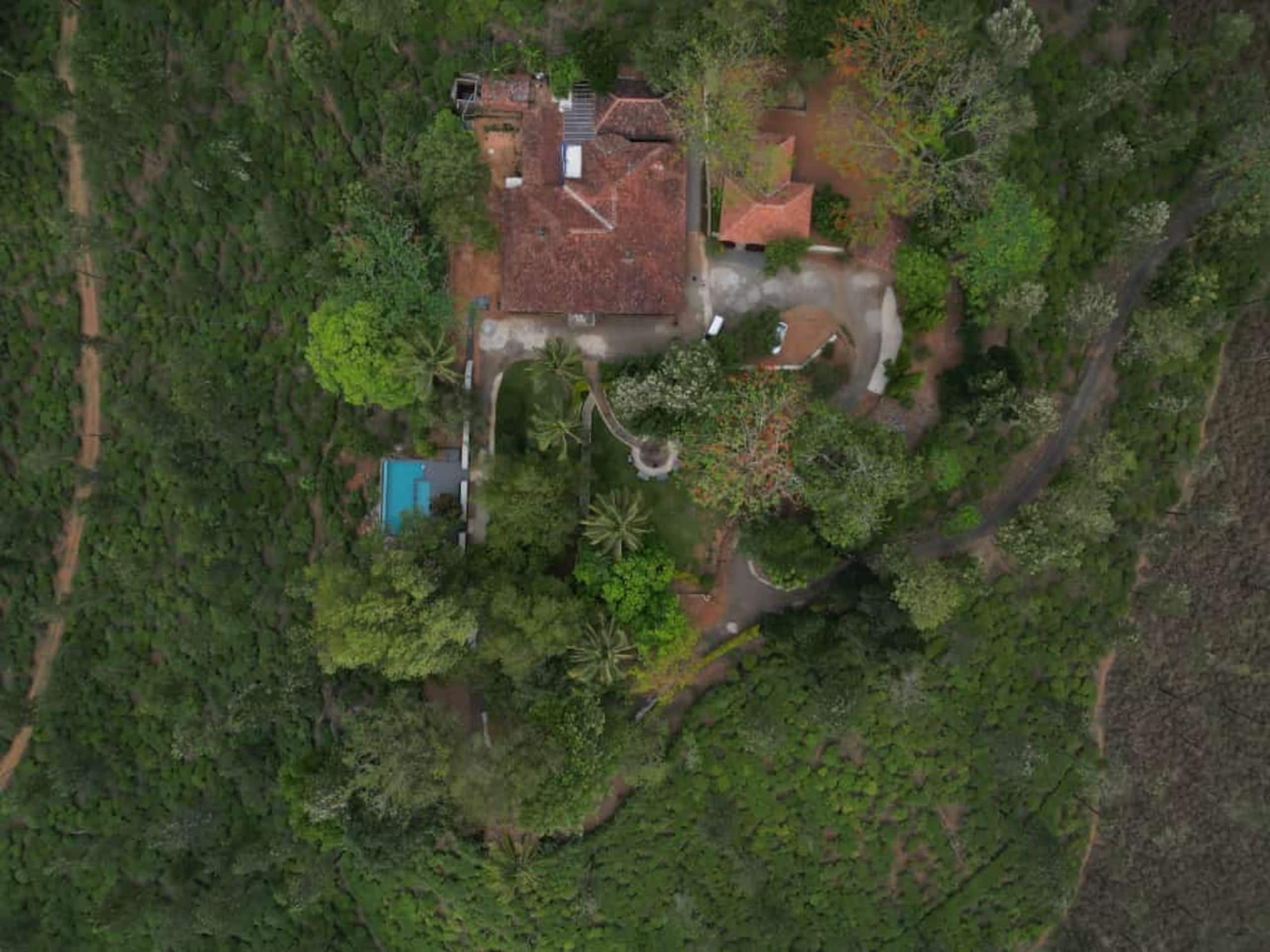 Cottage surrounded by a 200 acre Tea Estate 6