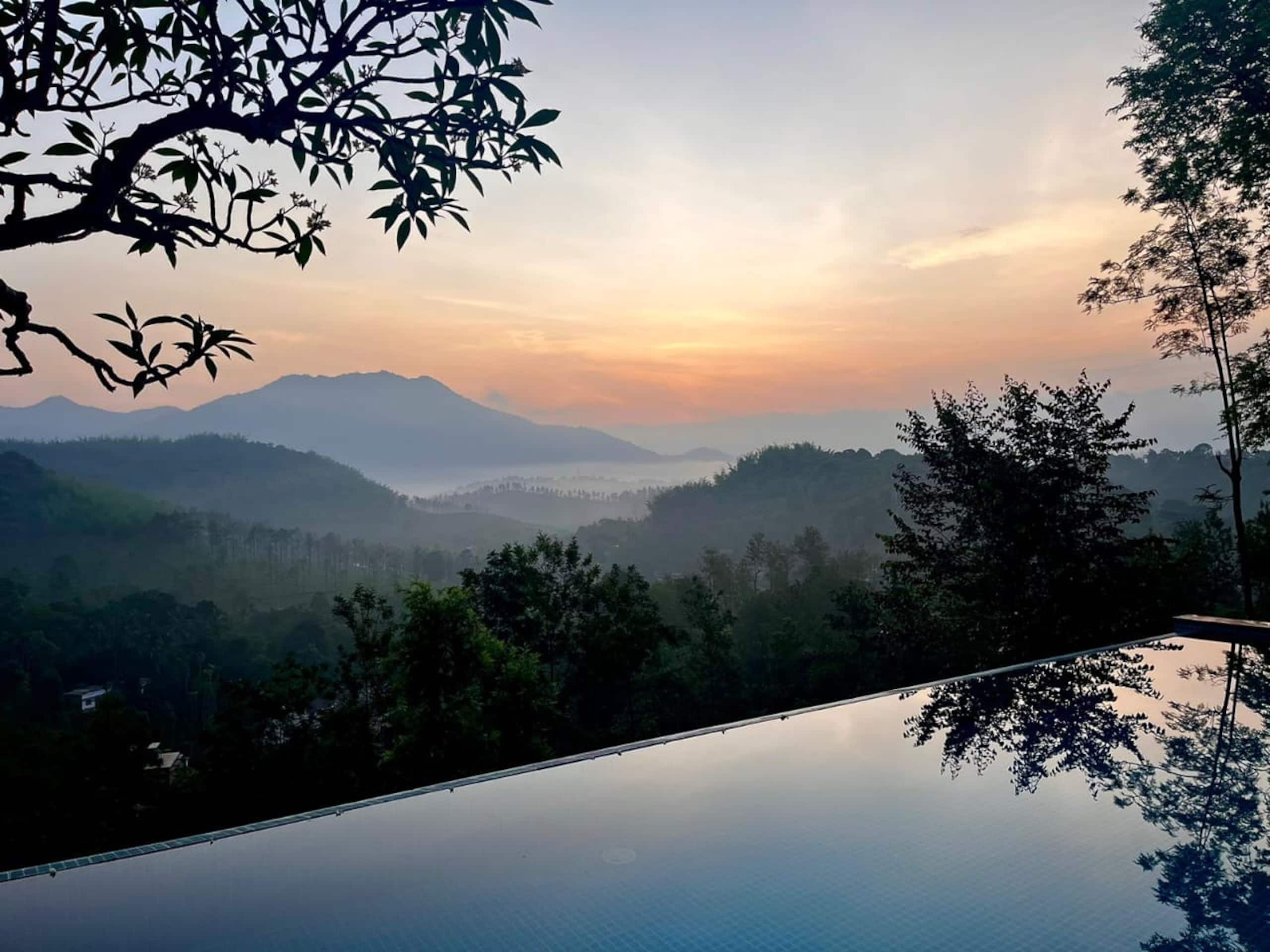 Cottage surrounded by a 200 acre Tea Estate — photo 5