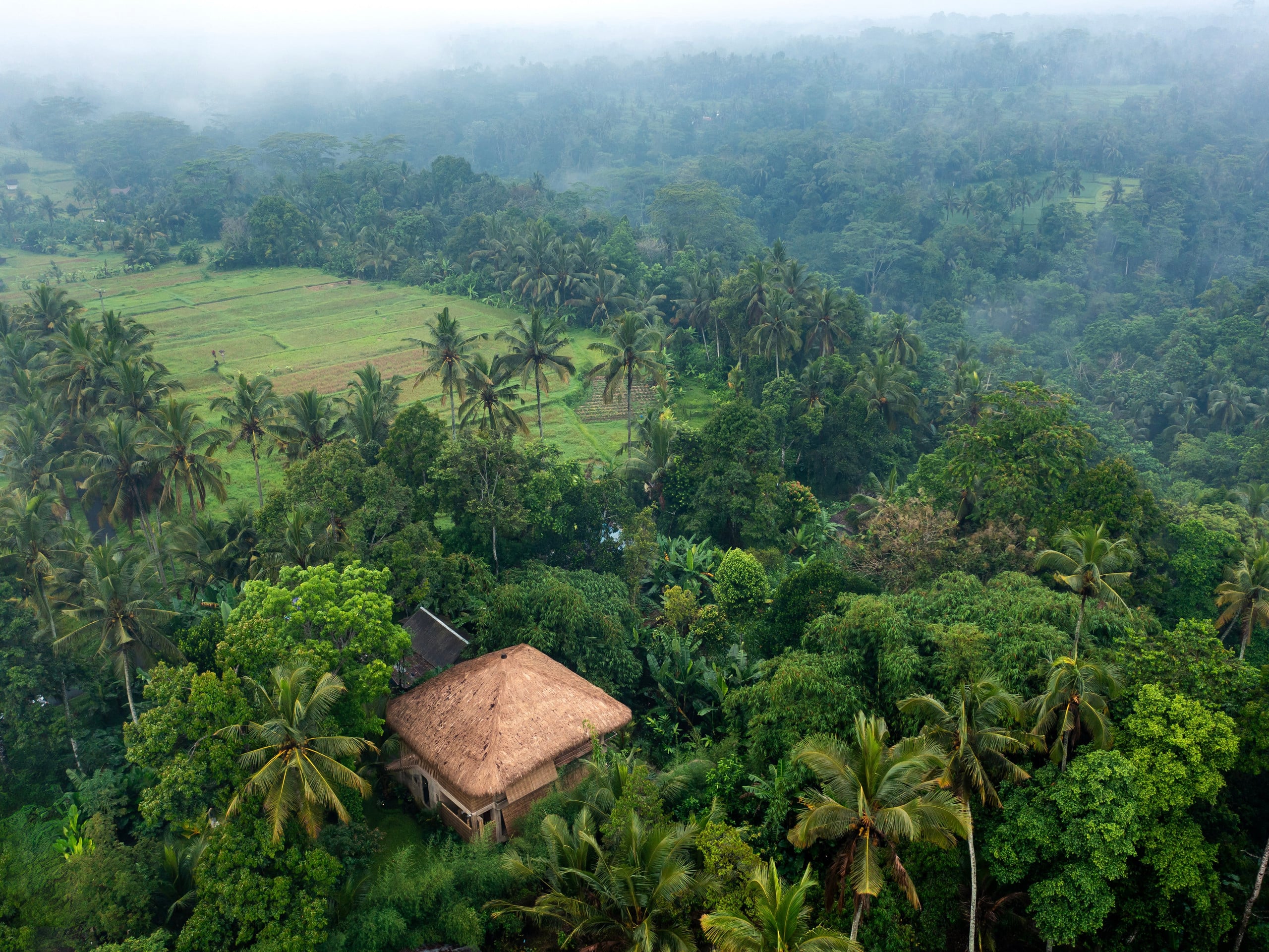 Bali Aira Ubud — photo 2