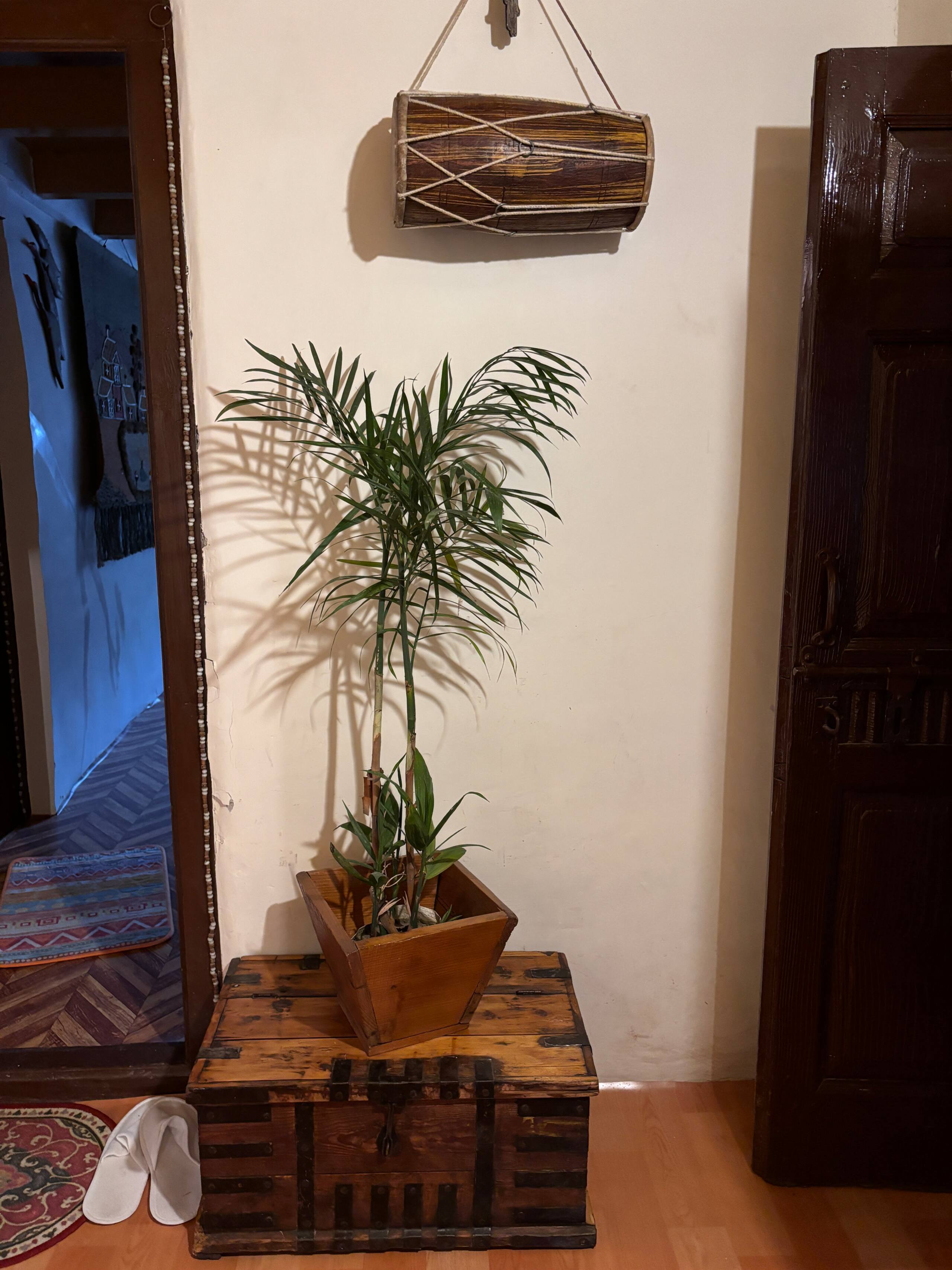 100 year old heritage house 3