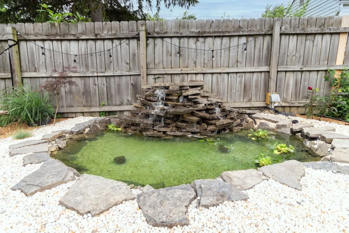 Pet-Friendly Weber Home w/ Backyard Oasis 7