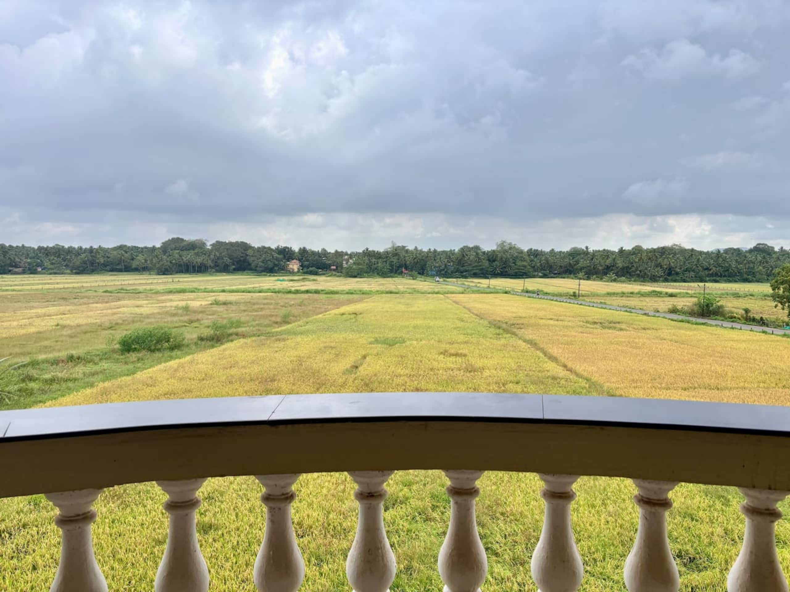 Villament - Majestic Palms, Benaulim — photo 2