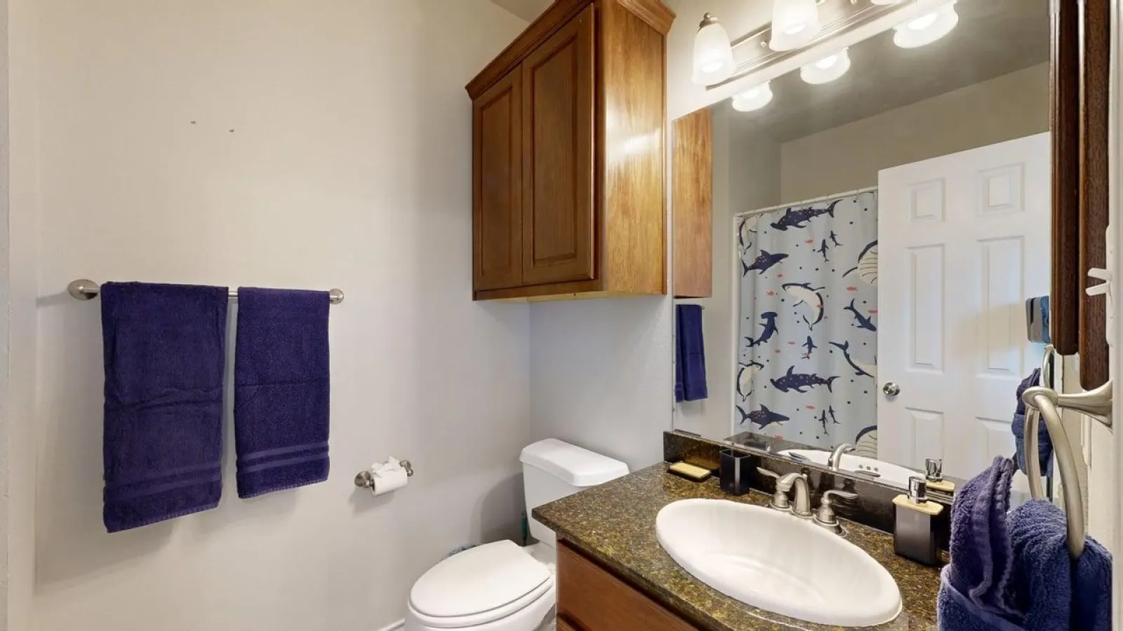 University Place - 3.5 miles to Kyle Field, Pool access! 17