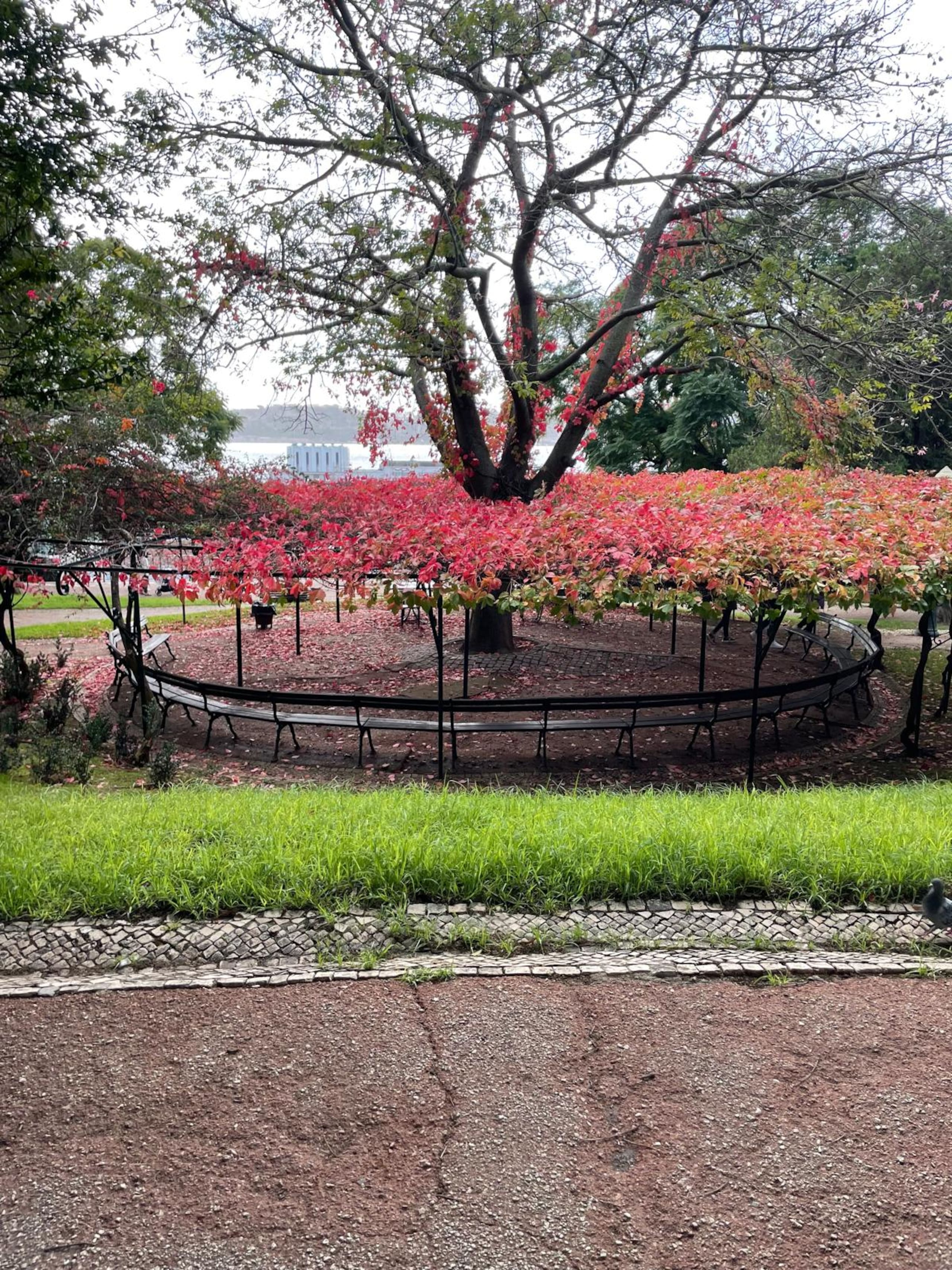 Casa de São Domingos 17