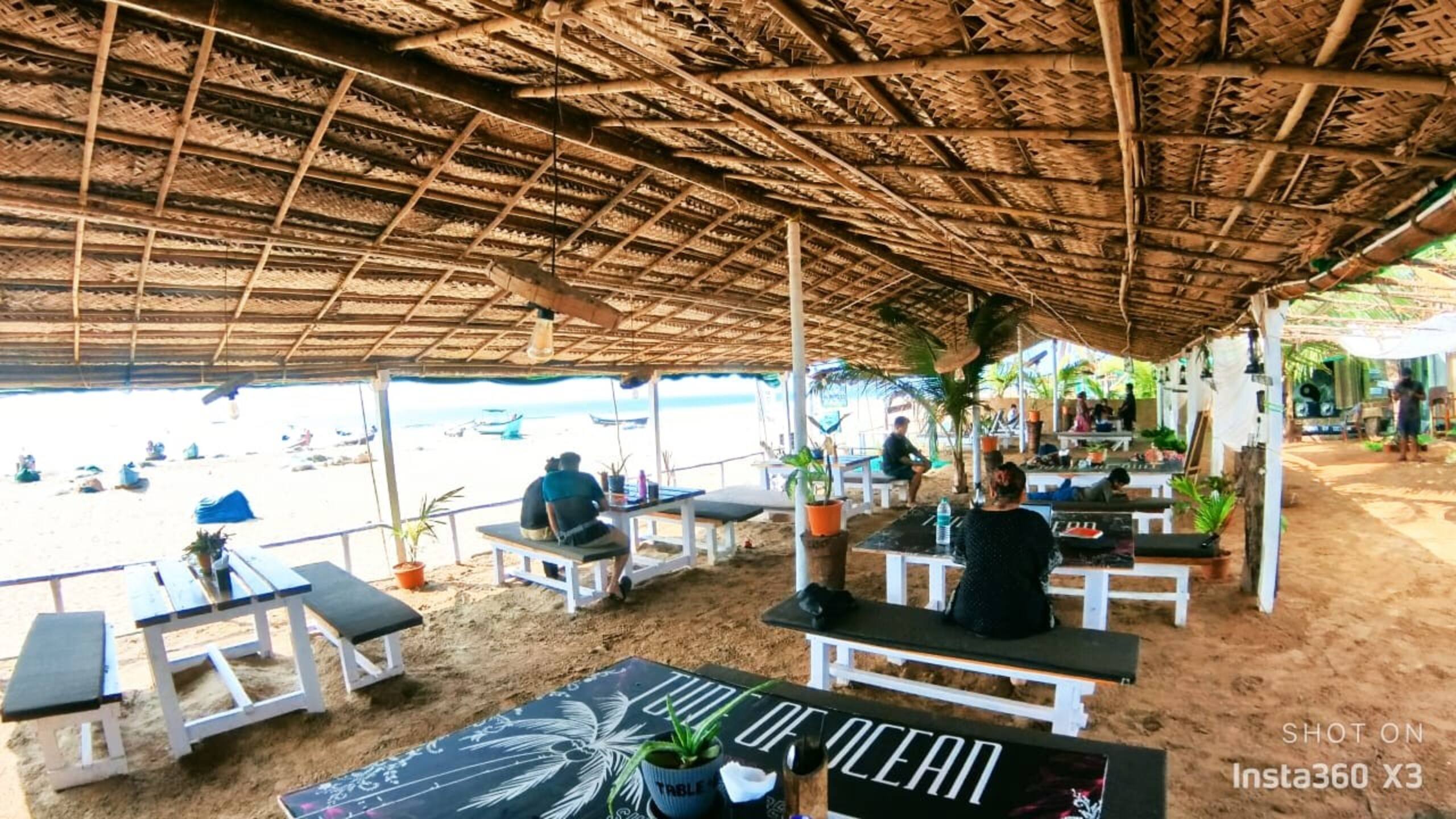Indigo Beachfront Cottage - Tune of Ocean 7